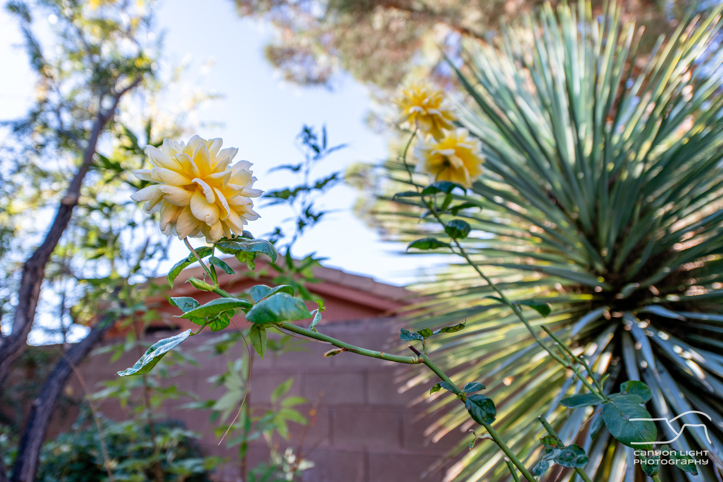 CHANCEL CLIFFS - Residential