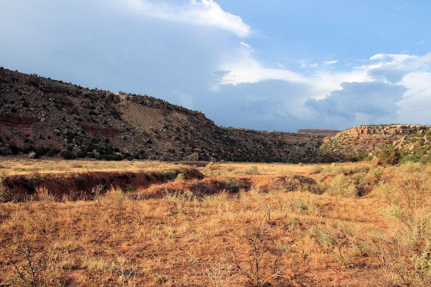 Dry-land acreage located near Zion National Park. Dalton Wash Road is a Washington County maintained road. No utilities are currently in place along Dalton Wash Rd. Utilities are located approximately +/- 15 miles away in SR-9 in Virgin.