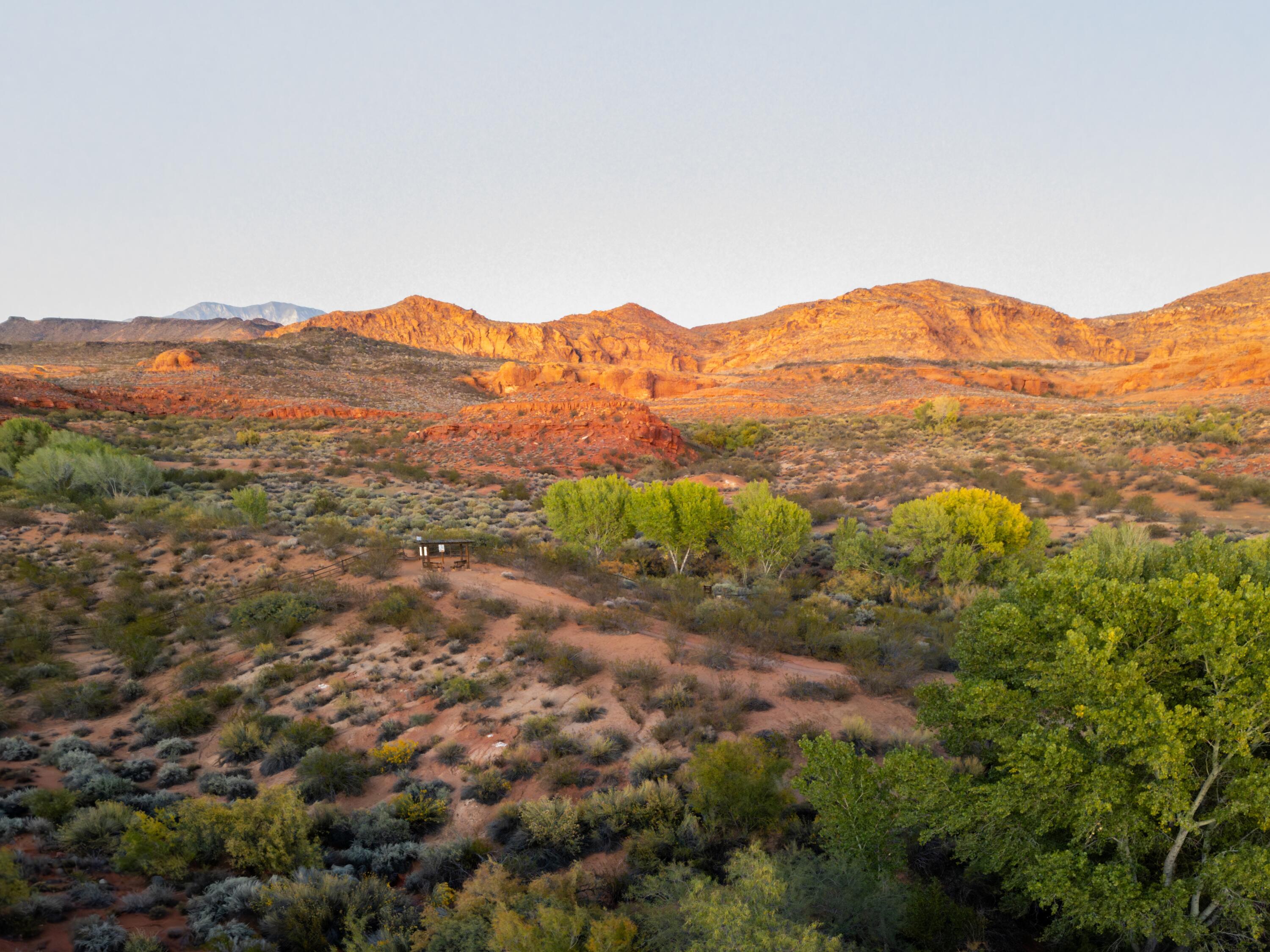 PARADISE CANYON - Residential