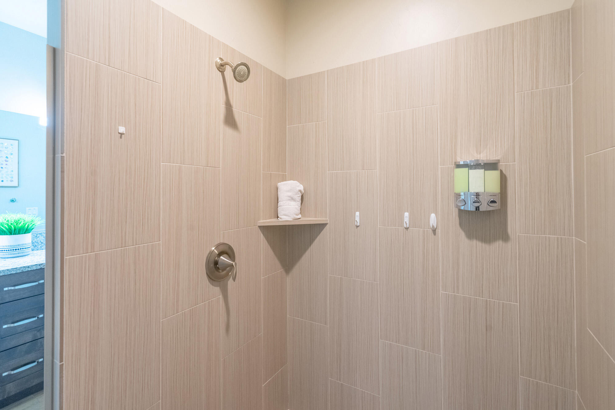 PARADISE VILLAGE AT ZION - Residential