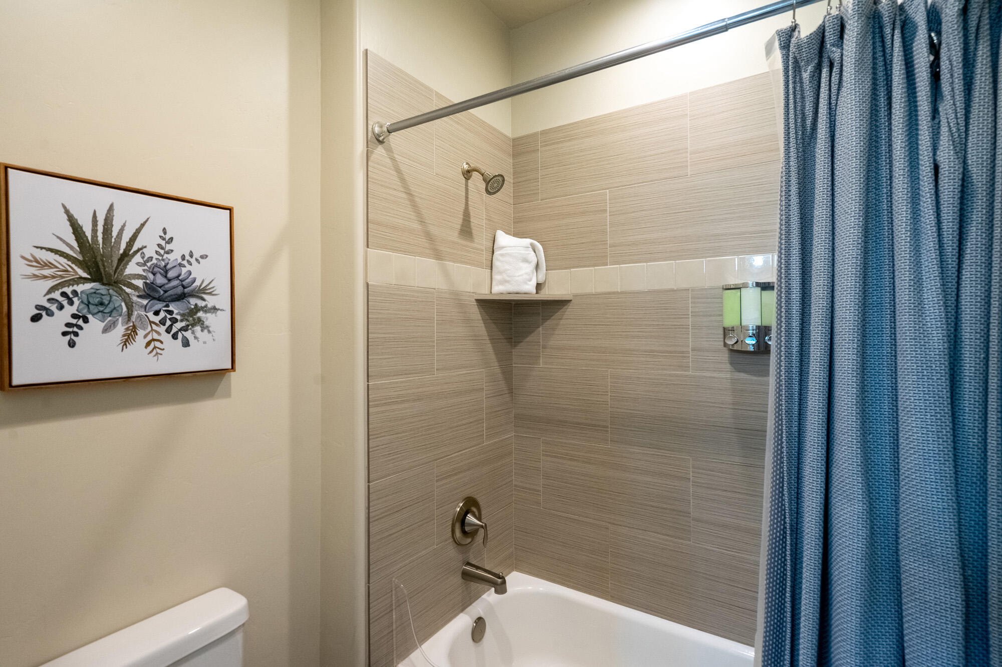 PARADISE VILLAGE AT ZION - Residential