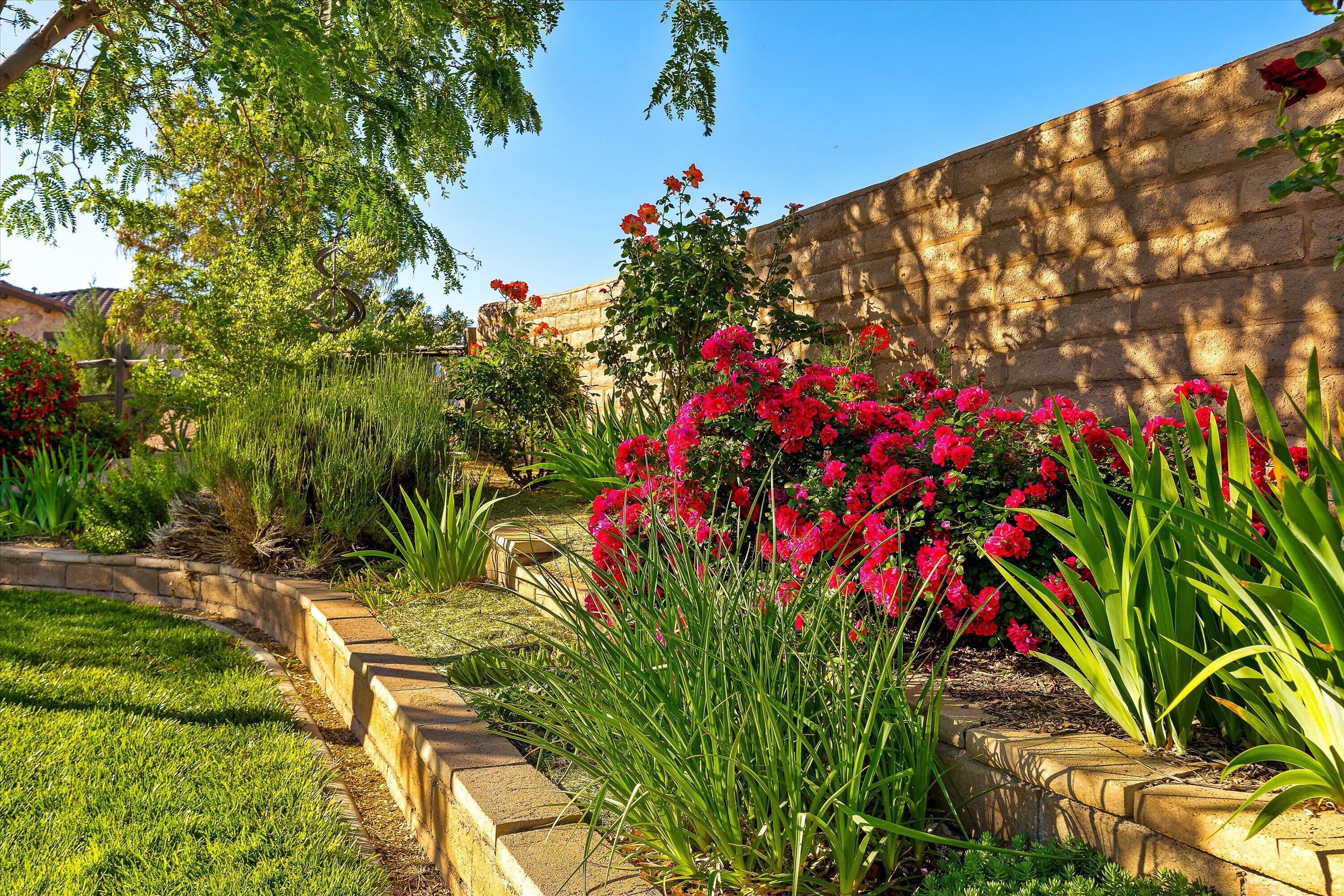 RIO DE SION - Residential