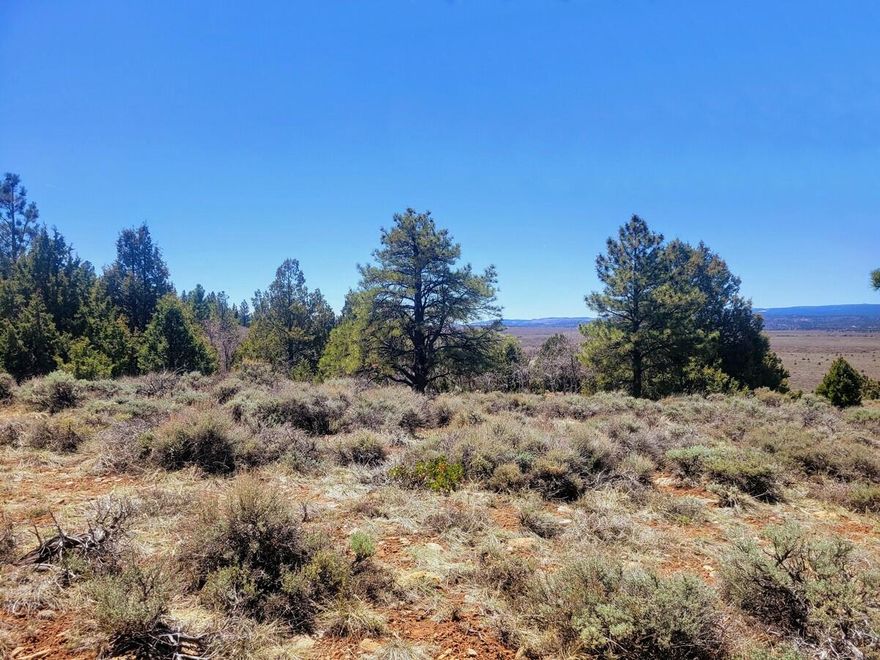 Beautiful .46 acre building lot in the Bryce Woodlands Estates subdivision. This subdivision is tucked beneath the radiant pink cliffs that are commonly found in the area. The lot has a gradual slope in the front and is flat in the back and wooded with both pine and oak trees. Power and land line communications are in the subdivision. Year round water is provided through a community water system. The water connection fee is approx $7,500 and $95/month for water. During the winter months property owners pool their funds together to have the subdivision roads plowed for vehicle access. Buyer to verify all fees associated with utilities and plowed roads. Call for more information.