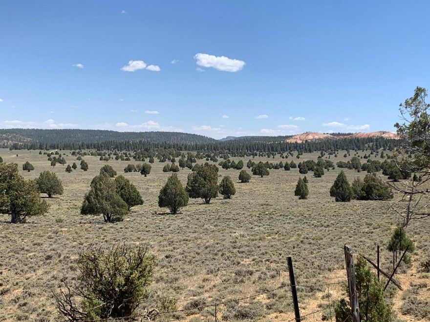 Own 40 acres in the heart of Bryce Canyon Country. This remote parcel next to the Dixie National Forest would make a fantastic base forcamping, fishing (nearby Tropic Reservoir), OHV explorations or easy access to the many hikes in Bryce, Zion, Red Canyon, Kodachrome Basin, and theGrand Staircase. Take in the sea of stars in these uniquely dark skies in your own private campground! No water included. All development would need to be off-grid. Only 2.5 miles south of highway 12. Direct access to the Great Western ATV Trail!