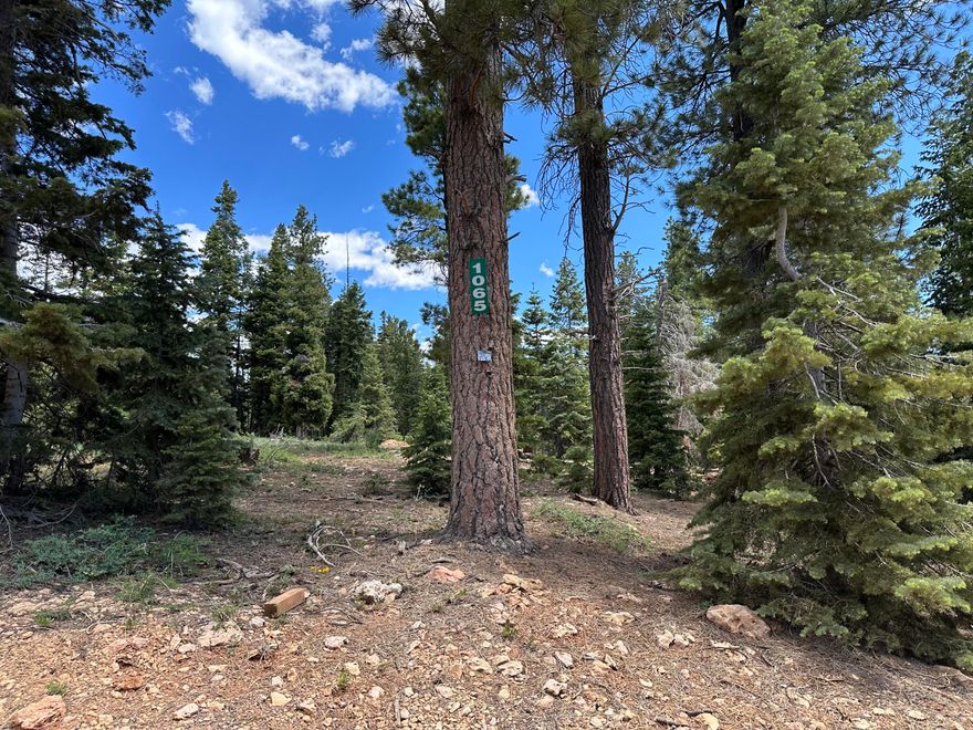 Construct your dream cabin nestled among the serene pines and aspens in the picturesque Duck Creek. This Color Country lot is an ideal spot for outdoor lovers, offering boundless possibilities for snowmobiling, ATVing, fishing, hiking, and more. The lot comes equipped with power, a water meter, and a 1000-gallon septic system, plus a survey has been completed for added convenience. Situated on a corner, it boasts an attractive building site with glimpses of the nearby mountainous terrain. Proximity to Duck Creek Village and the breathtaking National Parks of Southern Utah is another highlight. Seize the chance to own property in Duck Creek! Please note the seller is a licensed real estate agent.