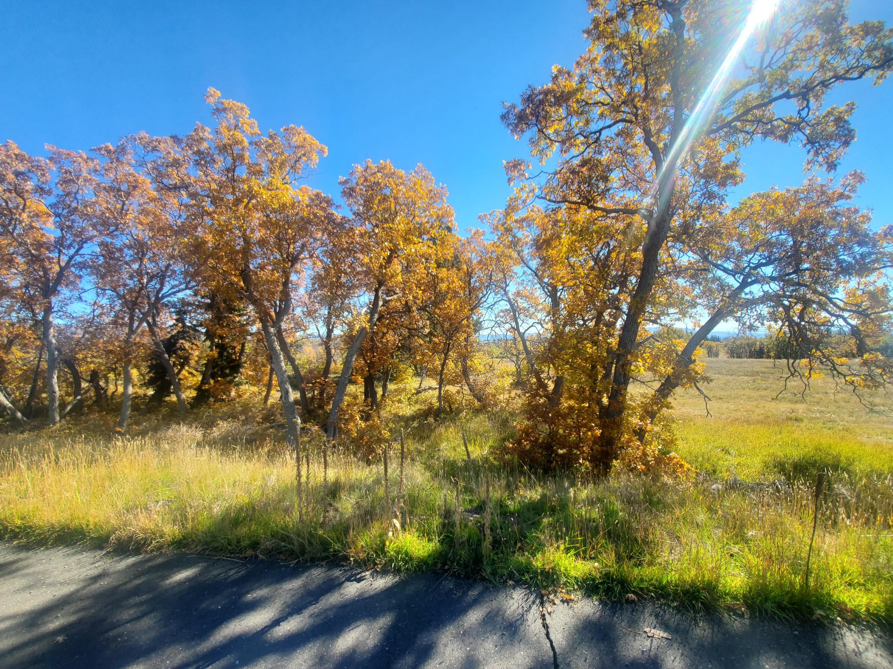 WHISPERING PINES SUB - Land