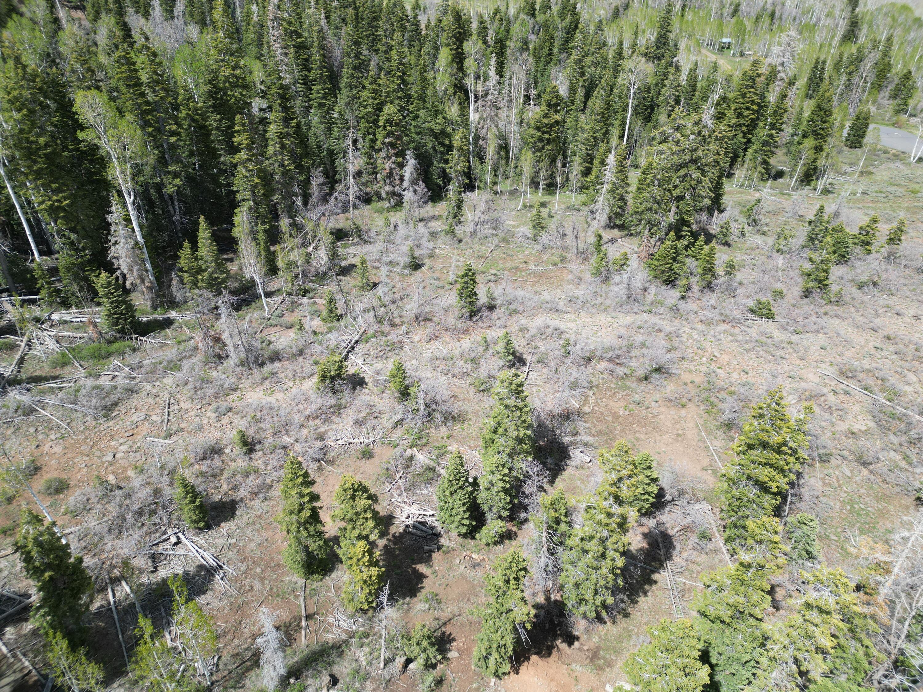 WHISPERING PINES SUB - Land