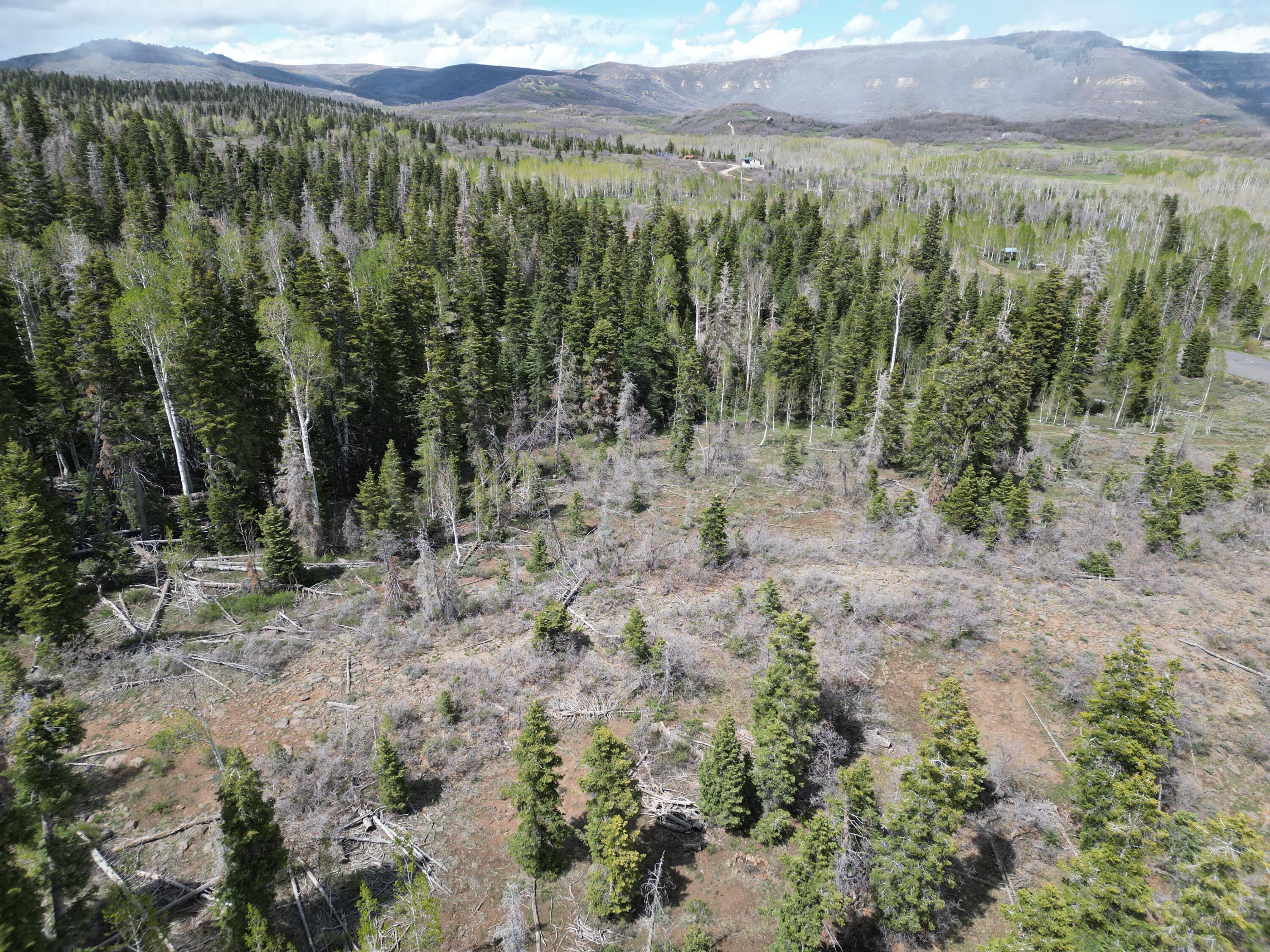 WHISPERING PINES SUB - Land