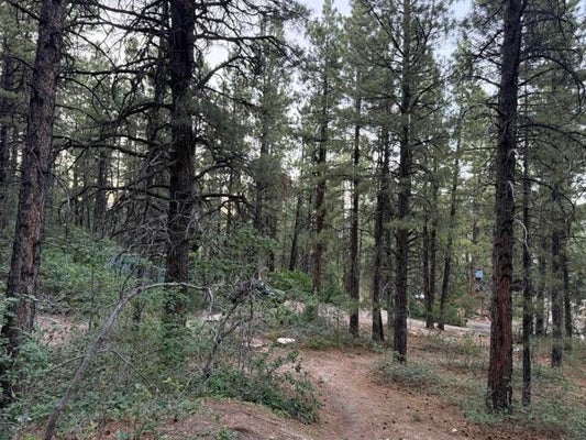 137 KOLOB PINES DR, SPRINGDALE, UT 84767 - Image 42da1e62fb18cfc17ba111e657af0baf/618286397