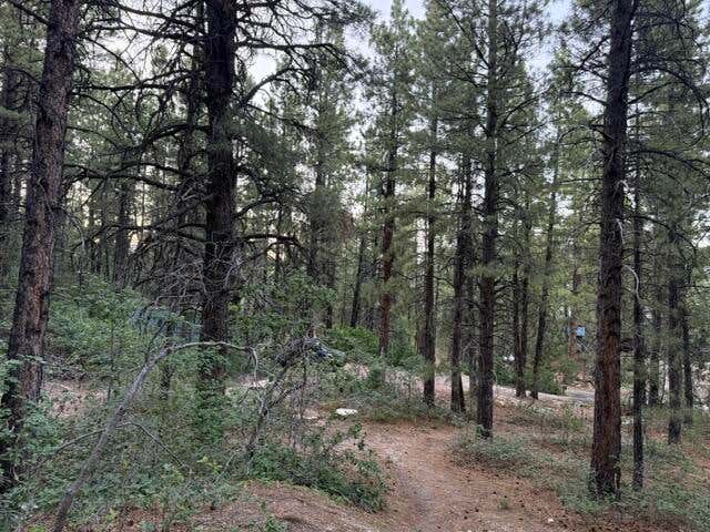 Photo of 137 N Kolob Pines DR, Kolob, UT 84767 (MLS # 26-273673)