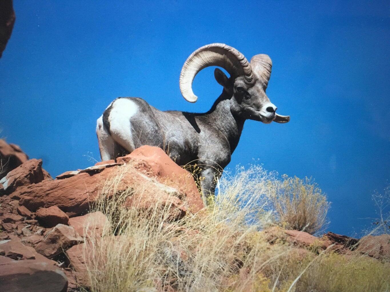 APPLE VALLEY TOWNSITE - Land