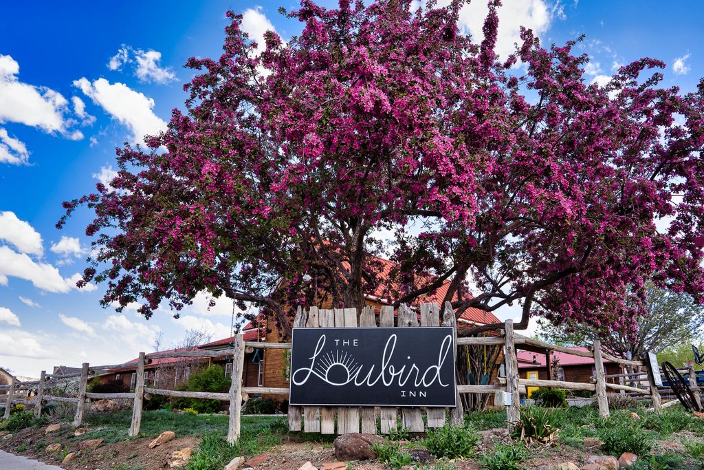 Photo of 15 S 100 E, Escalante, UT 84726 (MLS # 26-271268)