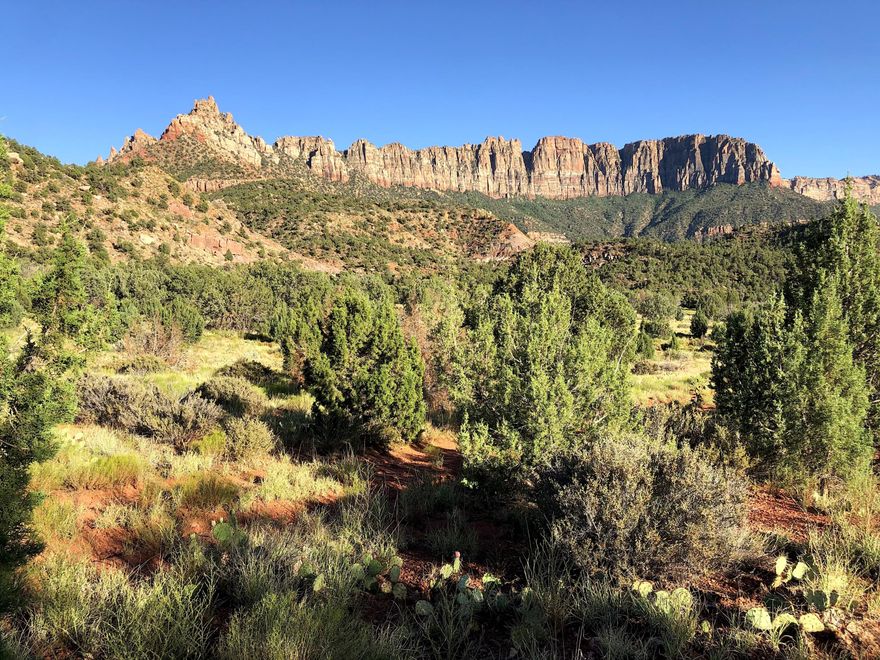 This .33 acre lot is located on the Rockville South Mesa near Eagle Crags Trail and Zion National Park! The lot borders over 200,000 acres of wildland including Canaan Mountain Wilderness, Zion, and BLM. Zoned OS-20, agricultural and for camping. Property is approved to collect & store up to 2,500 gallons of rainwater. NO HOA! 4x4 recommended not required. You have no back neighbors! Call for more info.