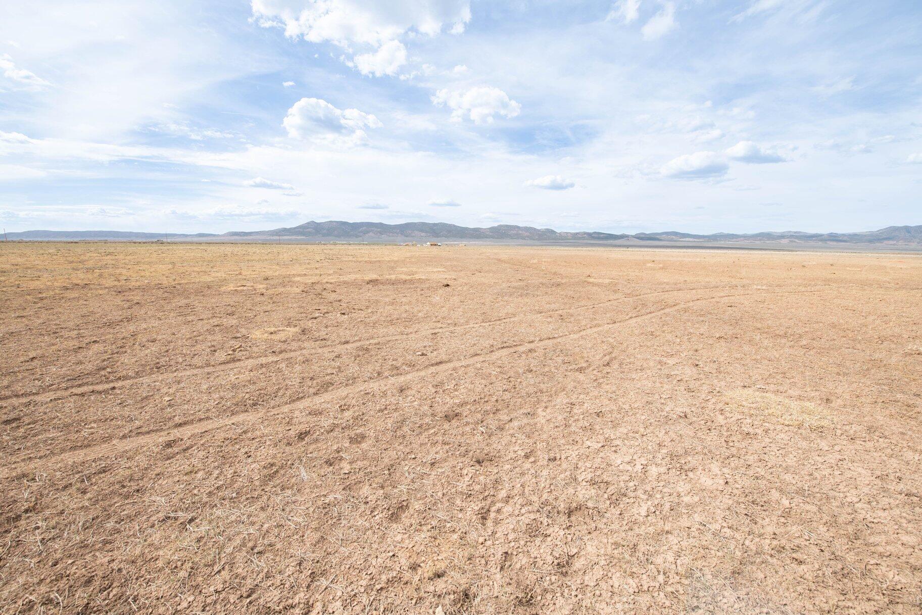 NOT AVAILABLE - Land