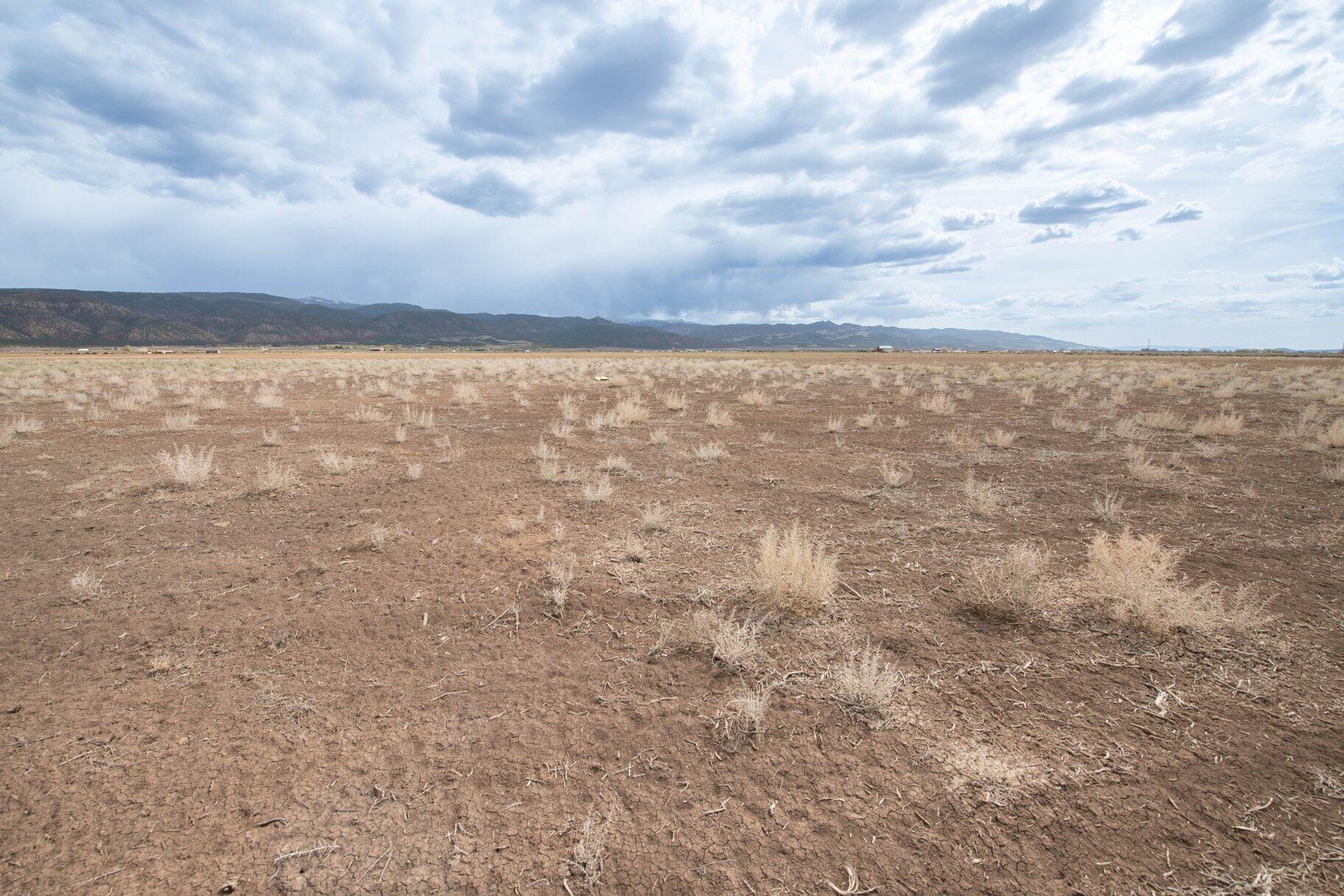 NOT AVAILABLE - Land