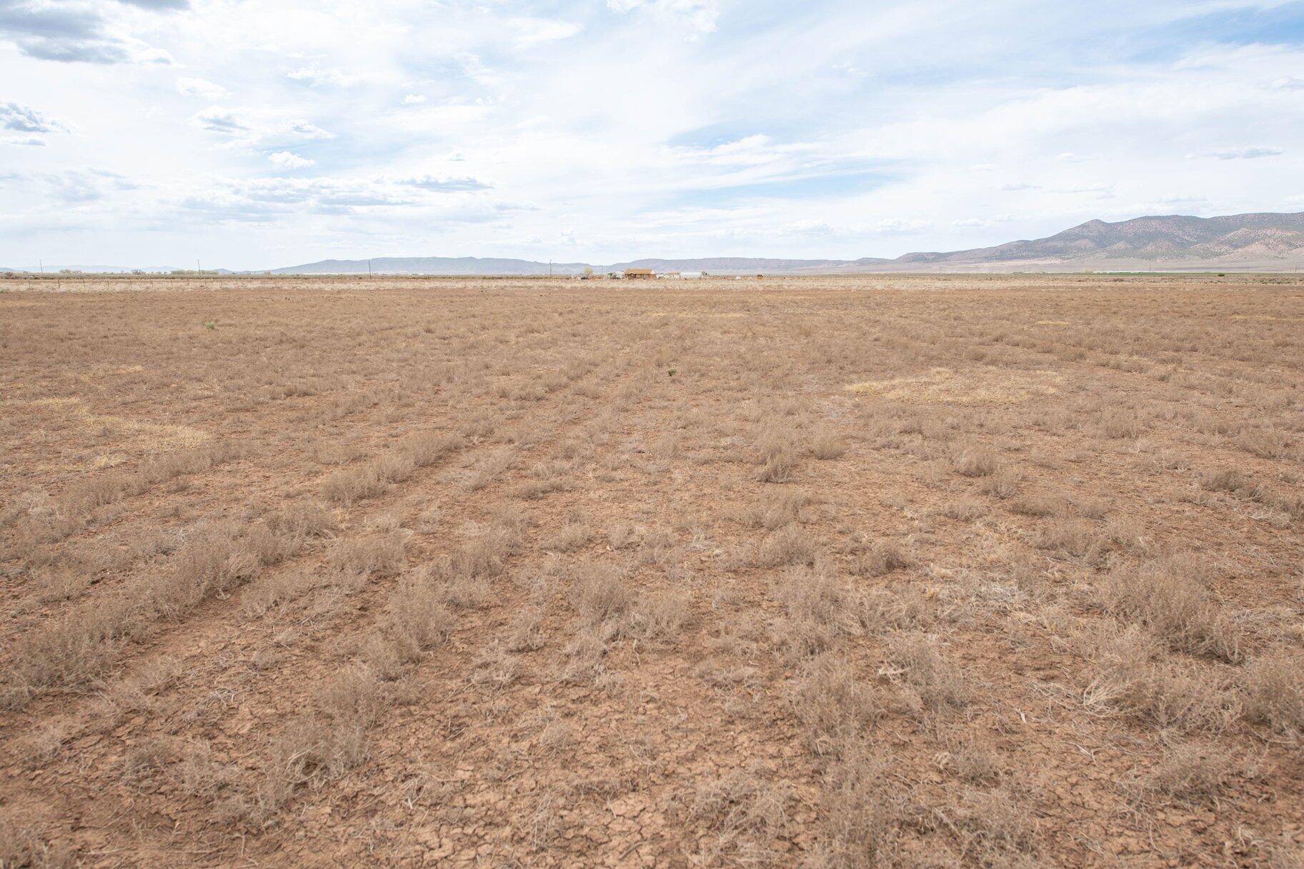 NOT AVAILABLE - Land