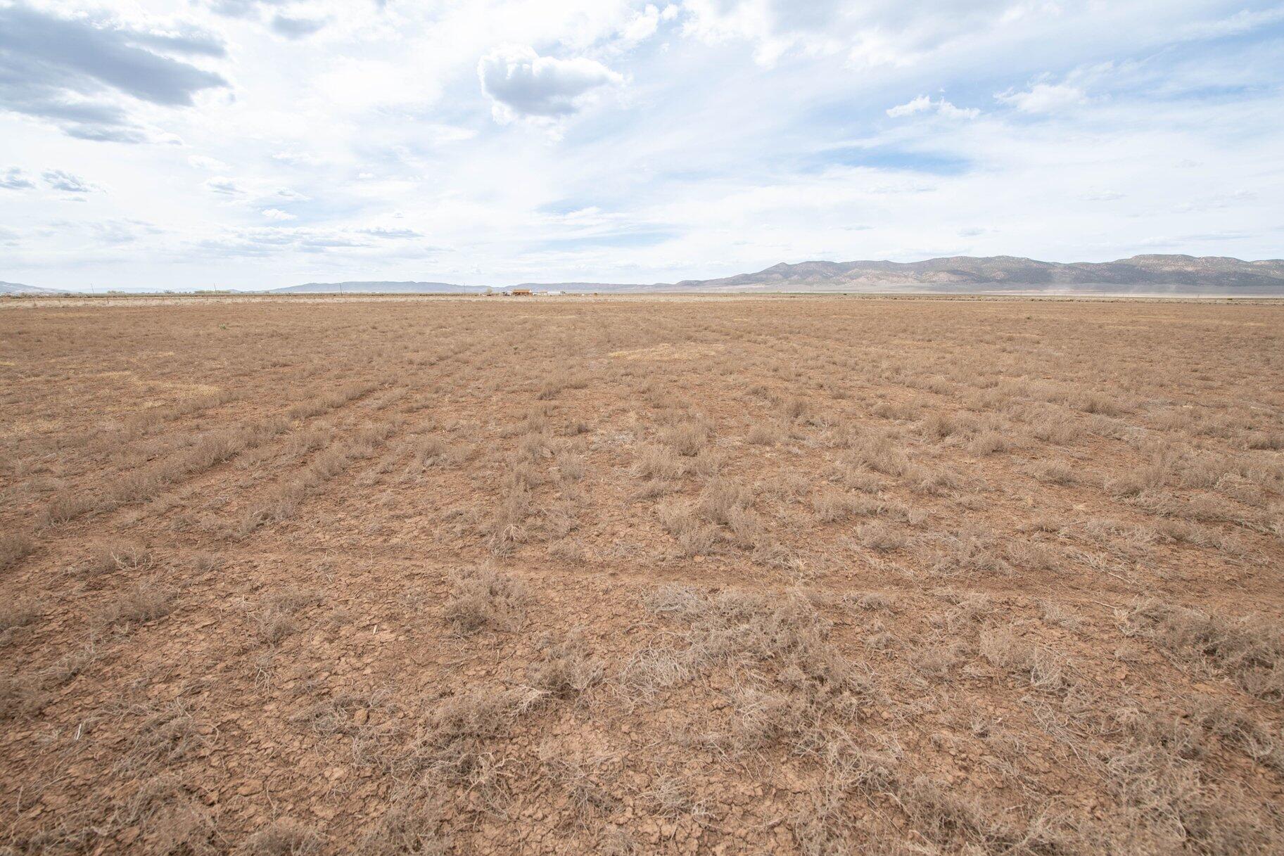 NOT AVAILABLE - Land