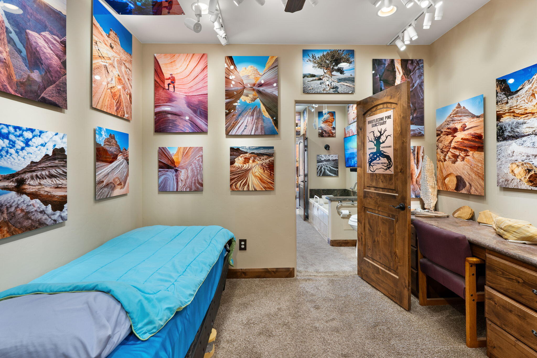 SHADOW CANYONS OF IVINS - Residential