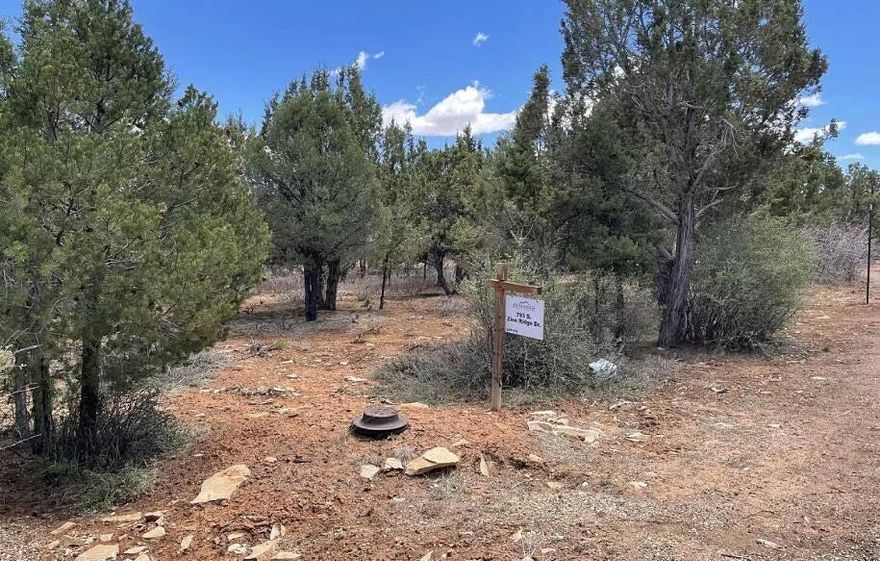 Amazing opportunity to own almost 3 acres in Zion Ponderosa. Check out zionponderosa.com to see all of the awesome things you can do within the community. When you build a view home on this lot you'll be building family memories for generations. Lot cannot be subdivided.