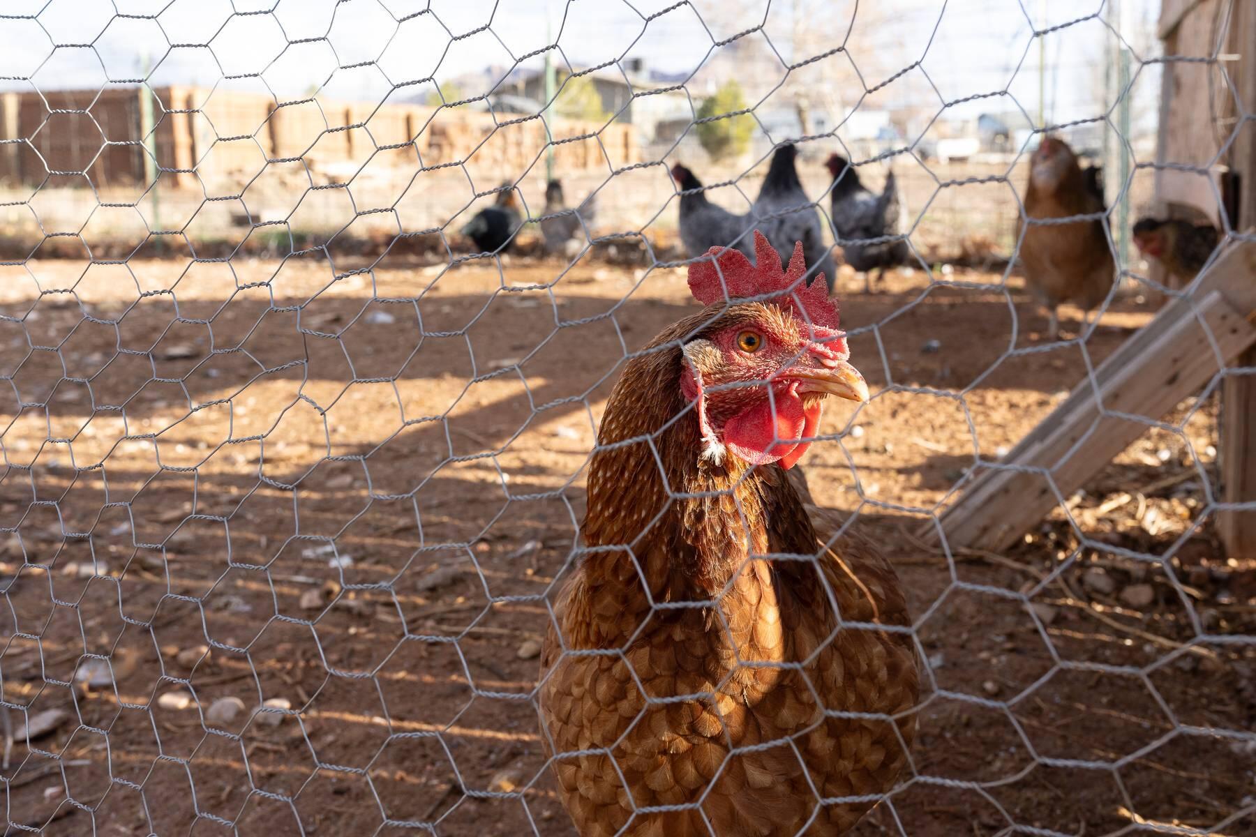 APPLE VALLEY RANCH - Residential