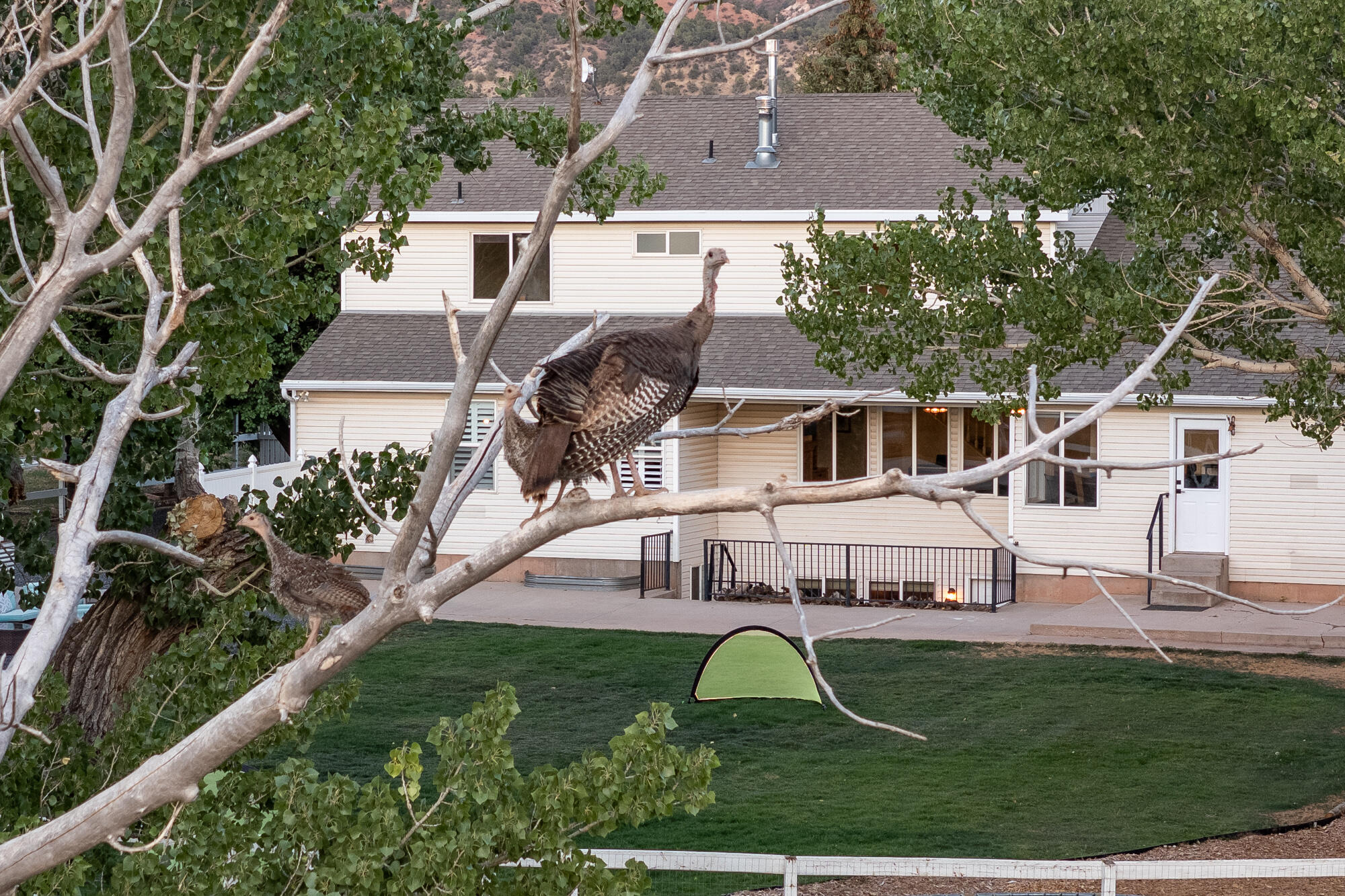 NEW HARMONY FARMS - Residential