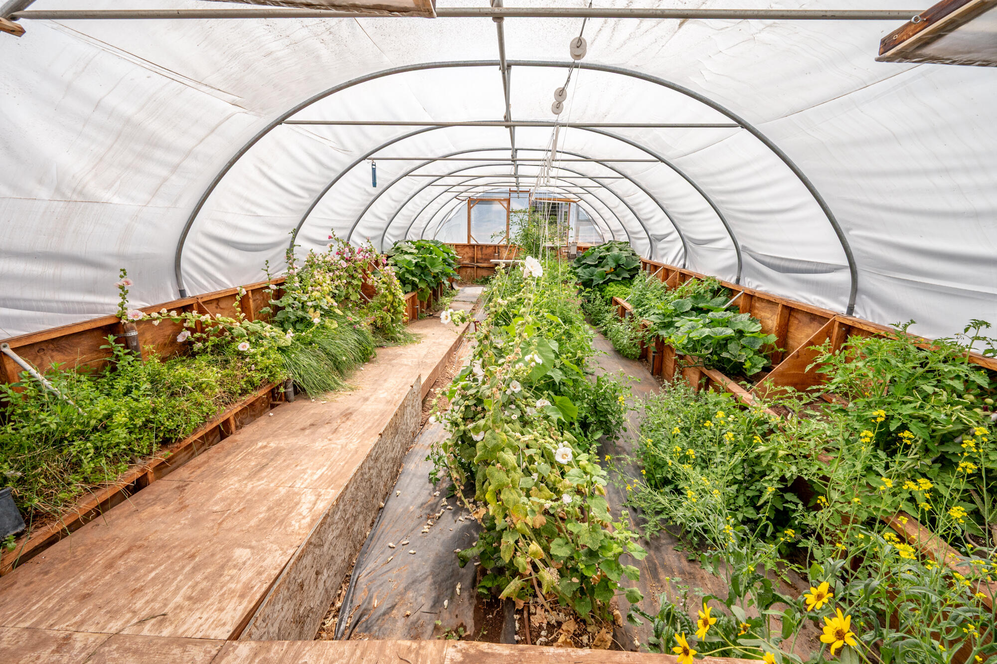 NEW HARMONY FARMS - Residential