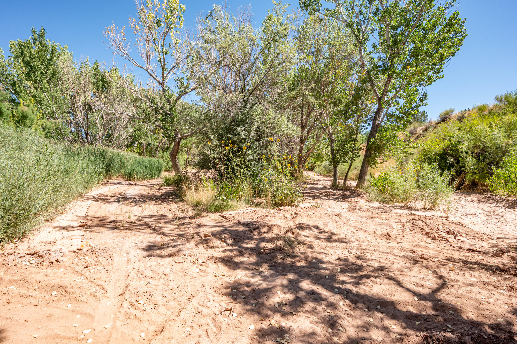 NEW HARMONY FARMS - Residential