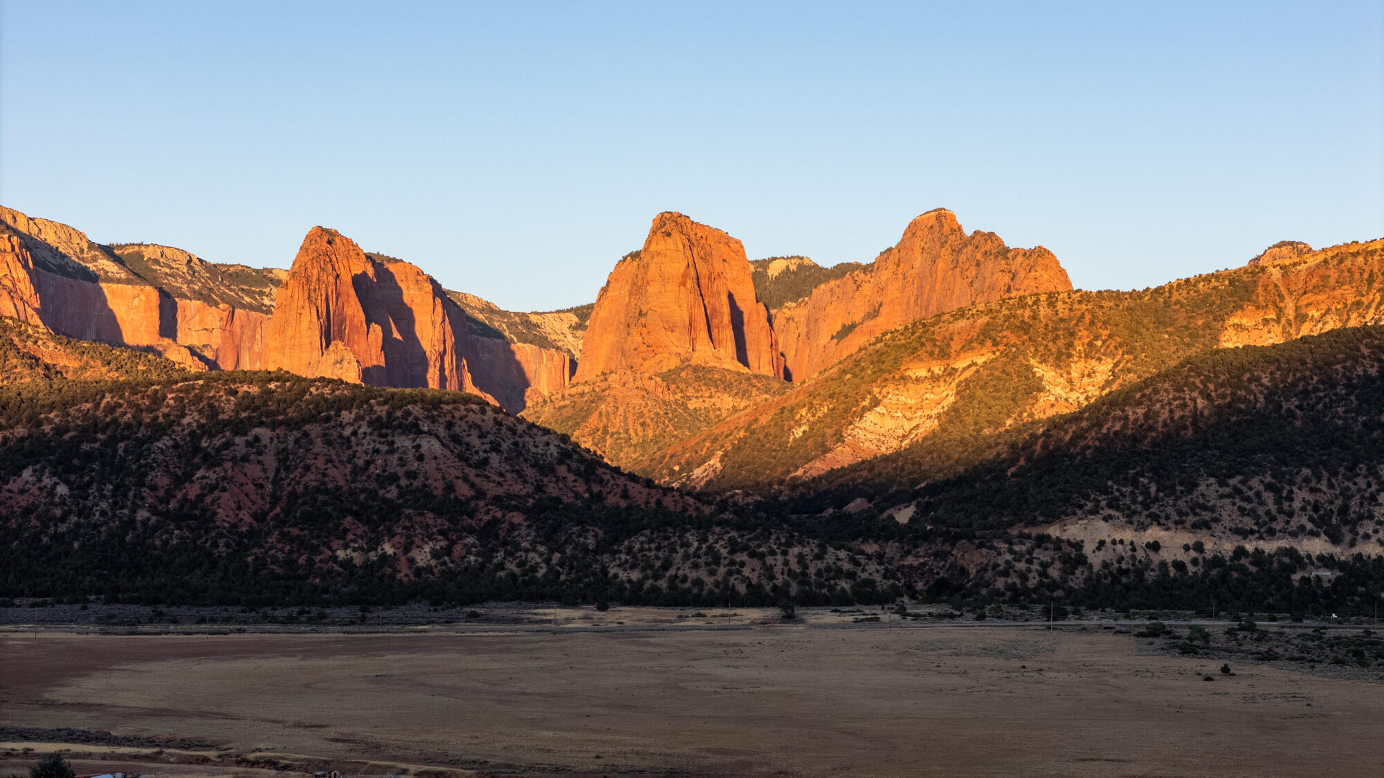 NEW HARMONY FARMS - Residential