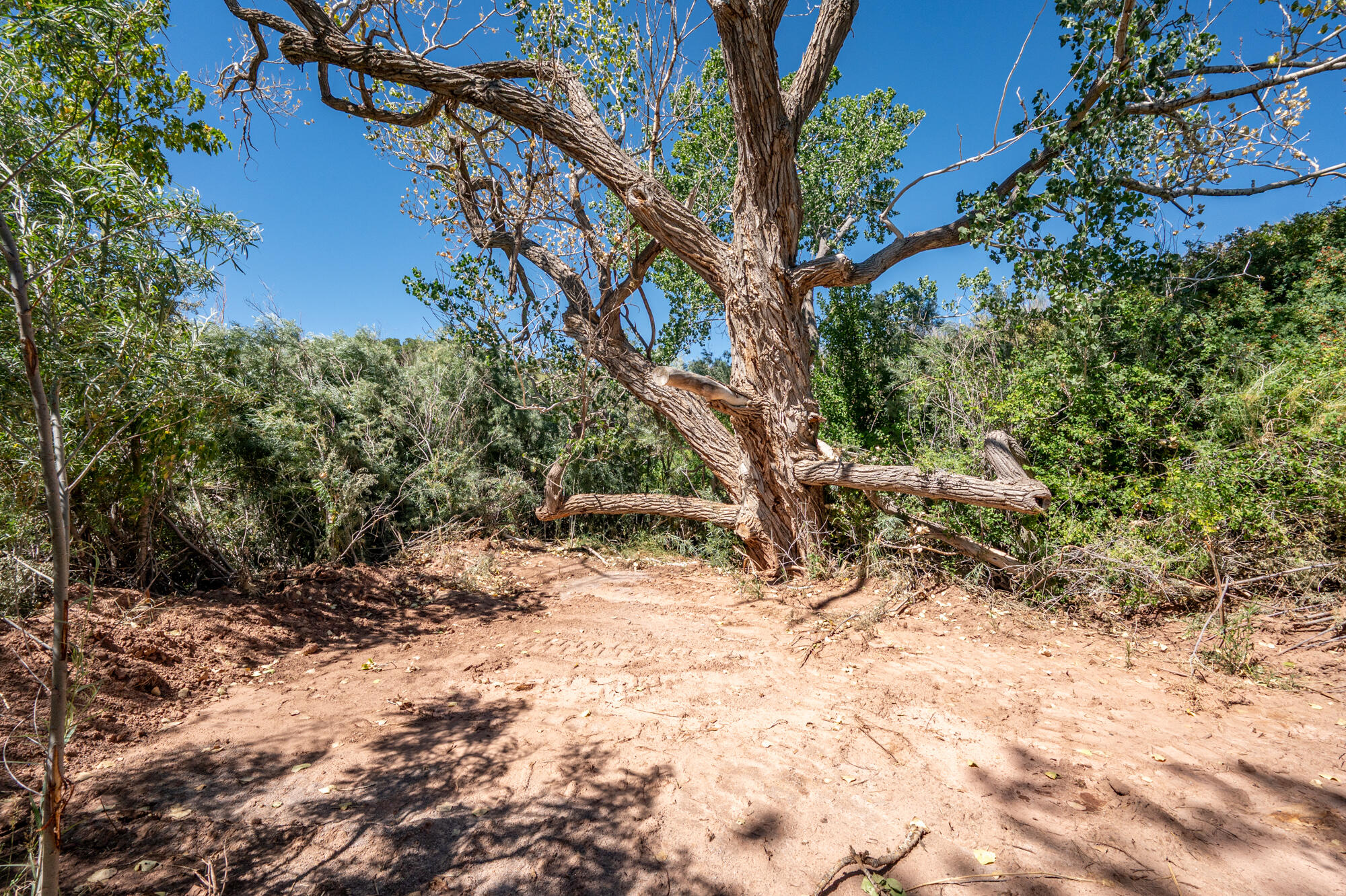 NEW HARMONY FARMS - Residential
