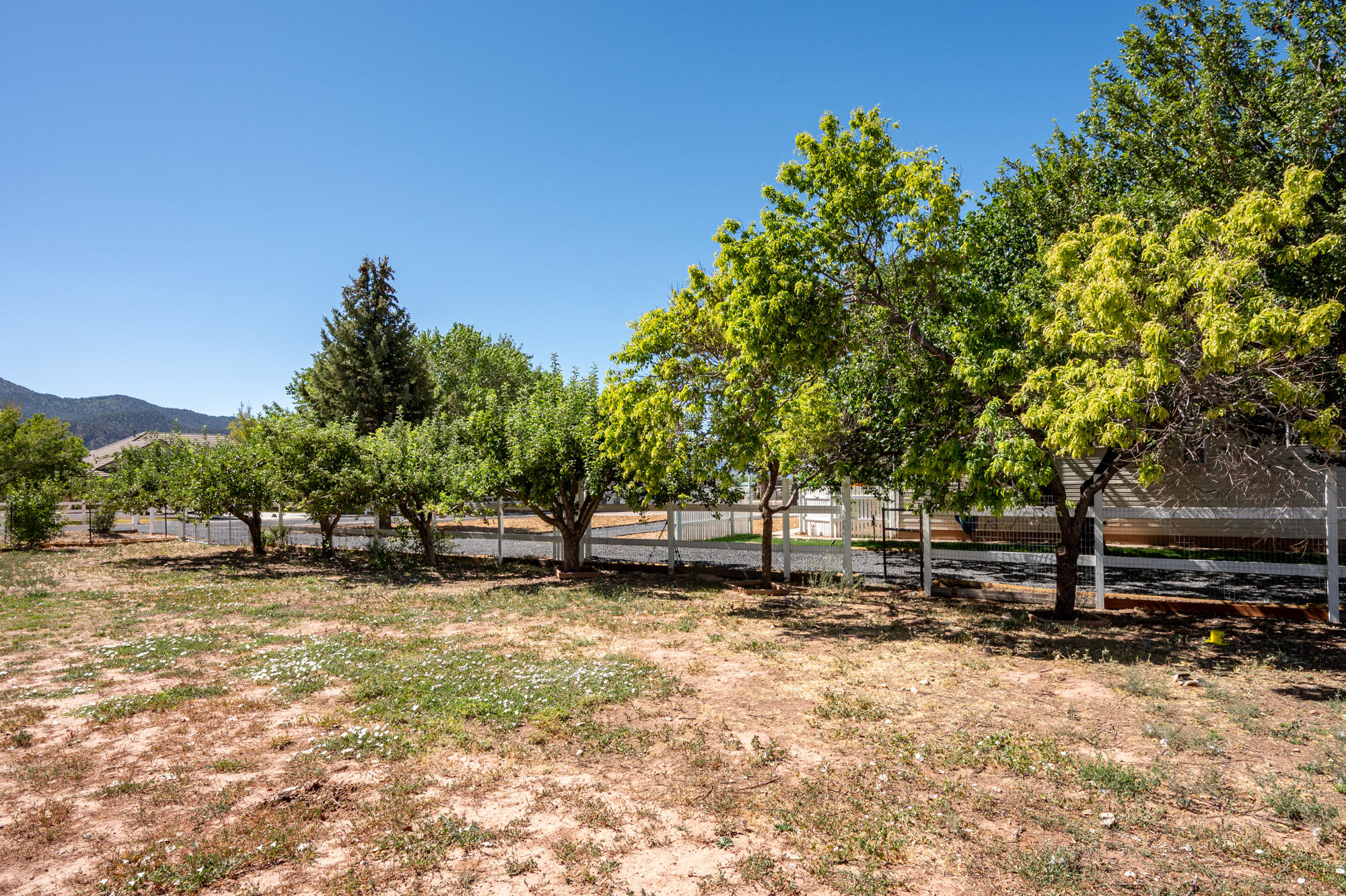 NEW HARMONY FARMS - Residential