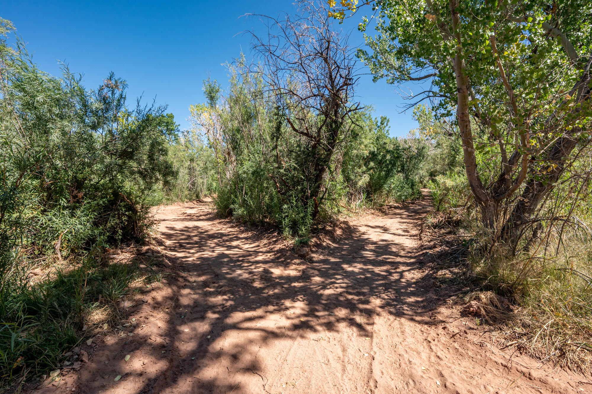 NEW HARMONY FARMS - Residential