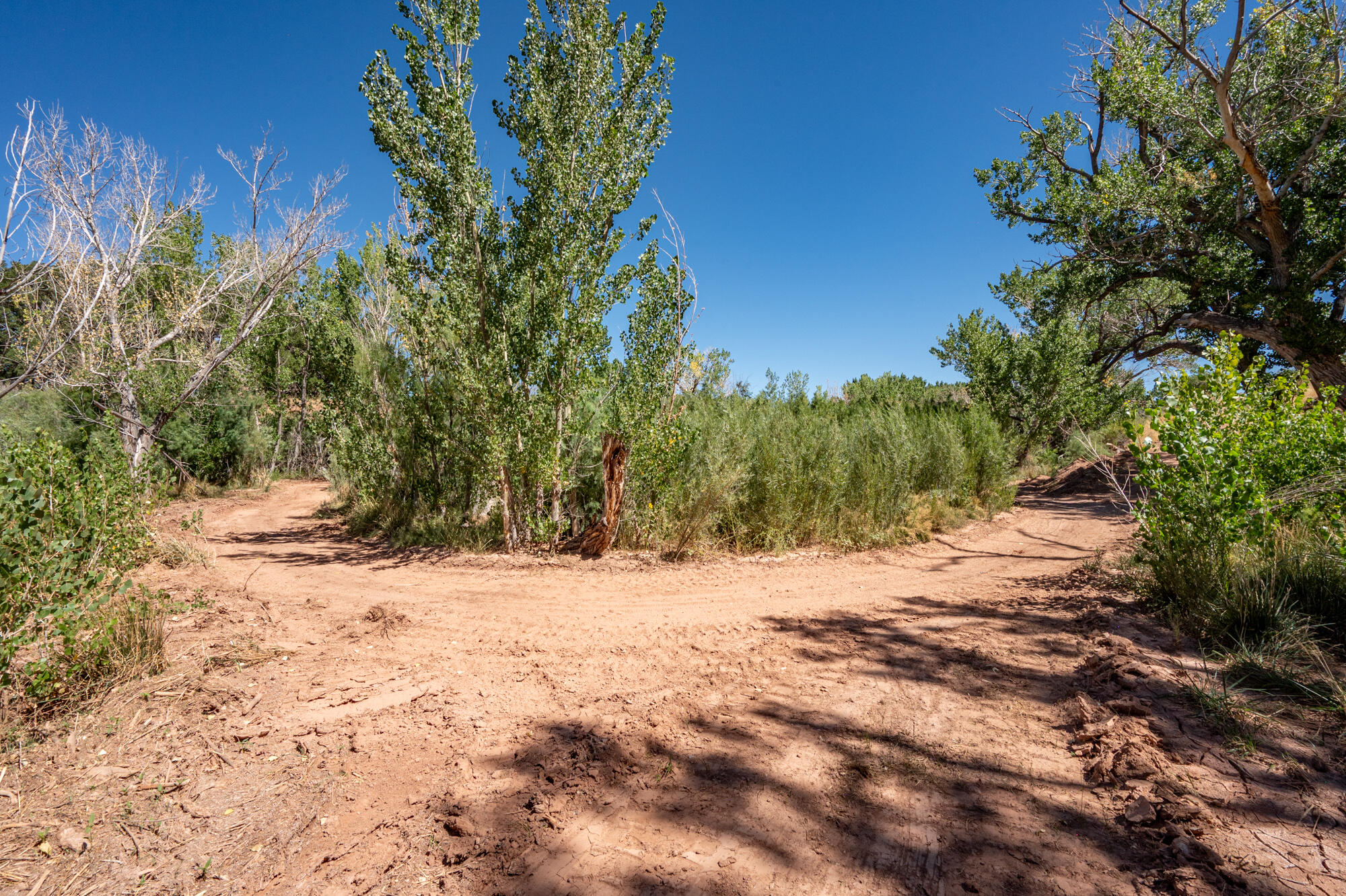 NEW HARMONY FARMS - Residential