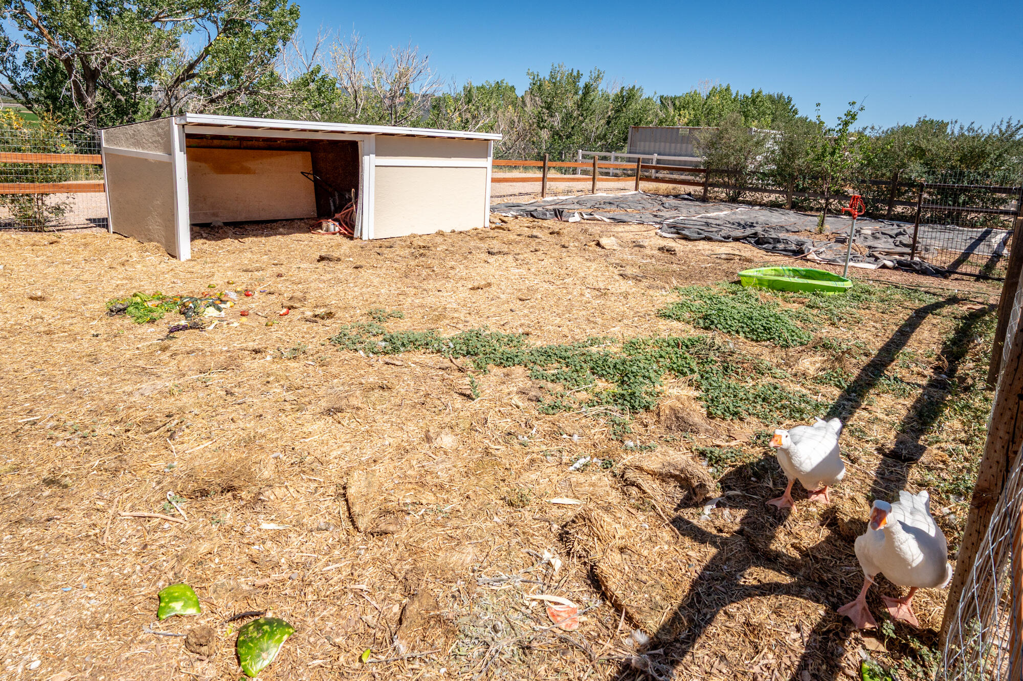 NEW HARMONY FARMS - Residential