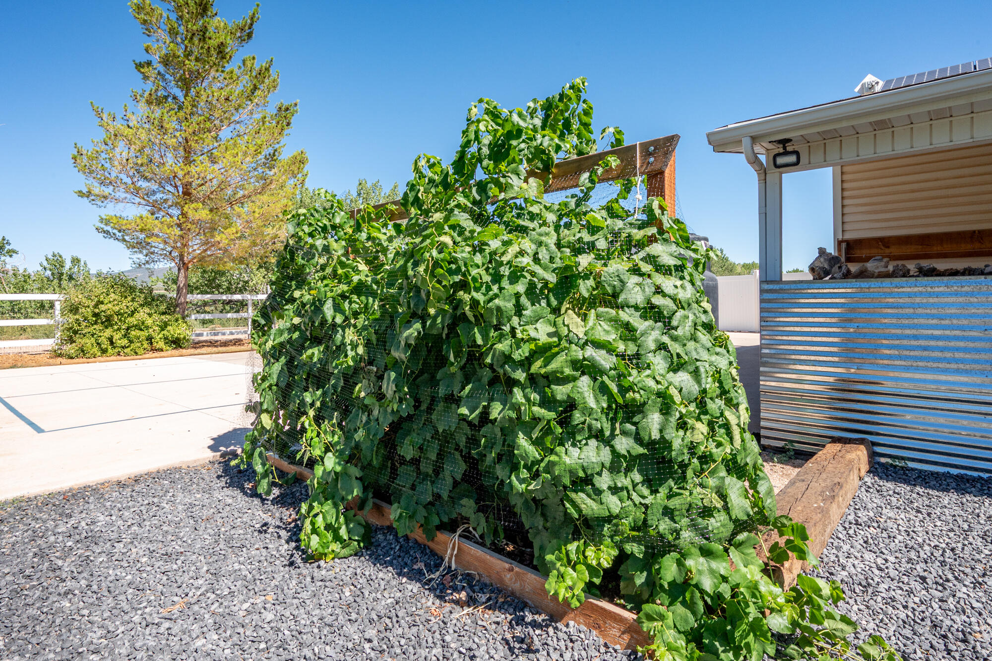 NEW HARMONY FARMS - Residential