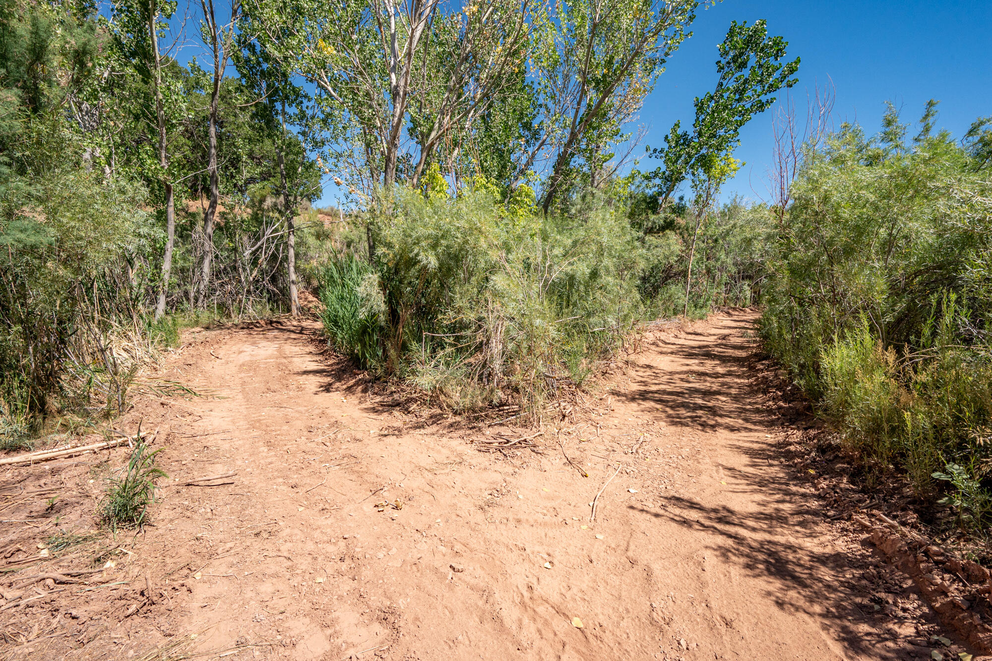 NEW HARMONY FARMS - Residential