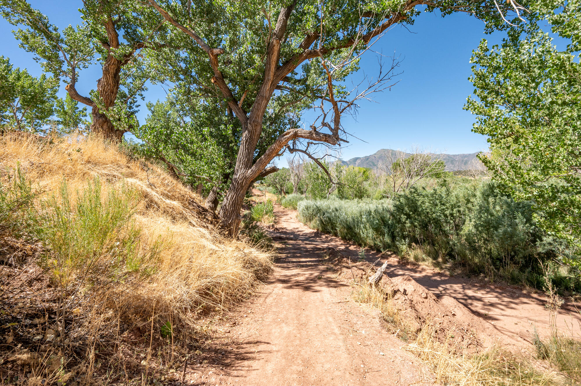NEW HARMONY FARMS - Residential