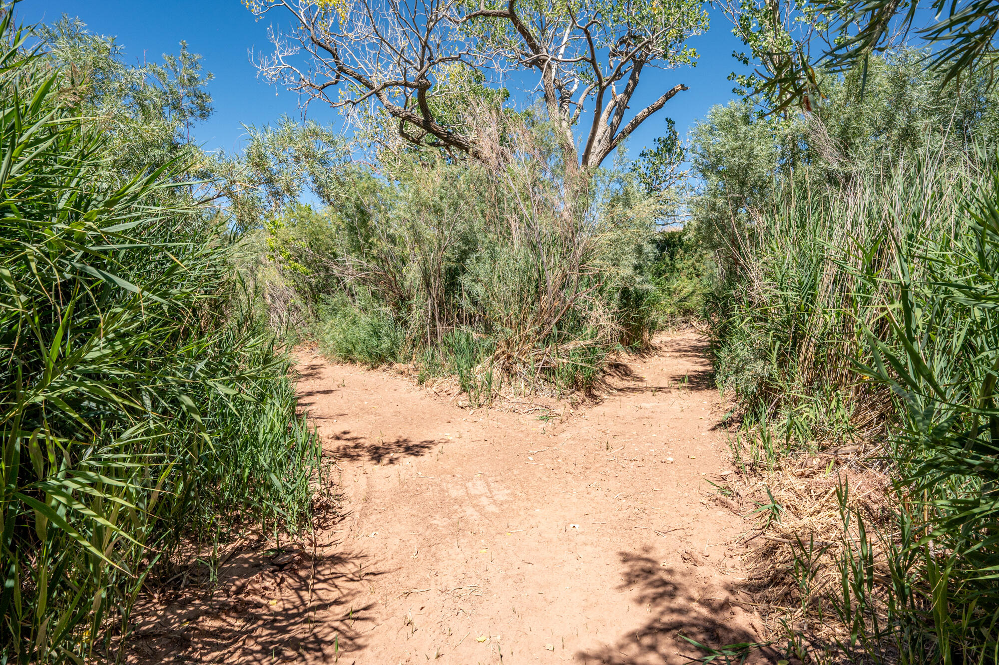 NEW HARMONY FARMS - Residential