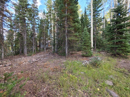 214 E DEER TRAIL RD, BRIAN HEAD, UT 84719 - Image 522206bf4885fb7e81f0d7767dab0de5/511676405