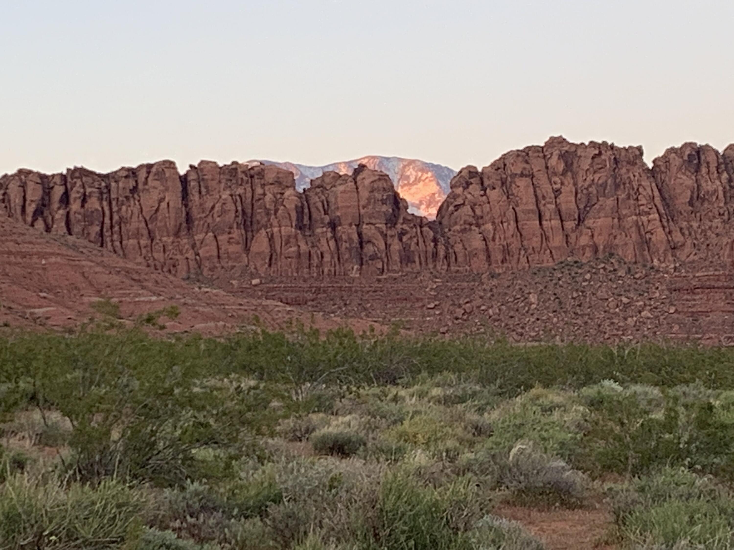 RED DESERT - Land