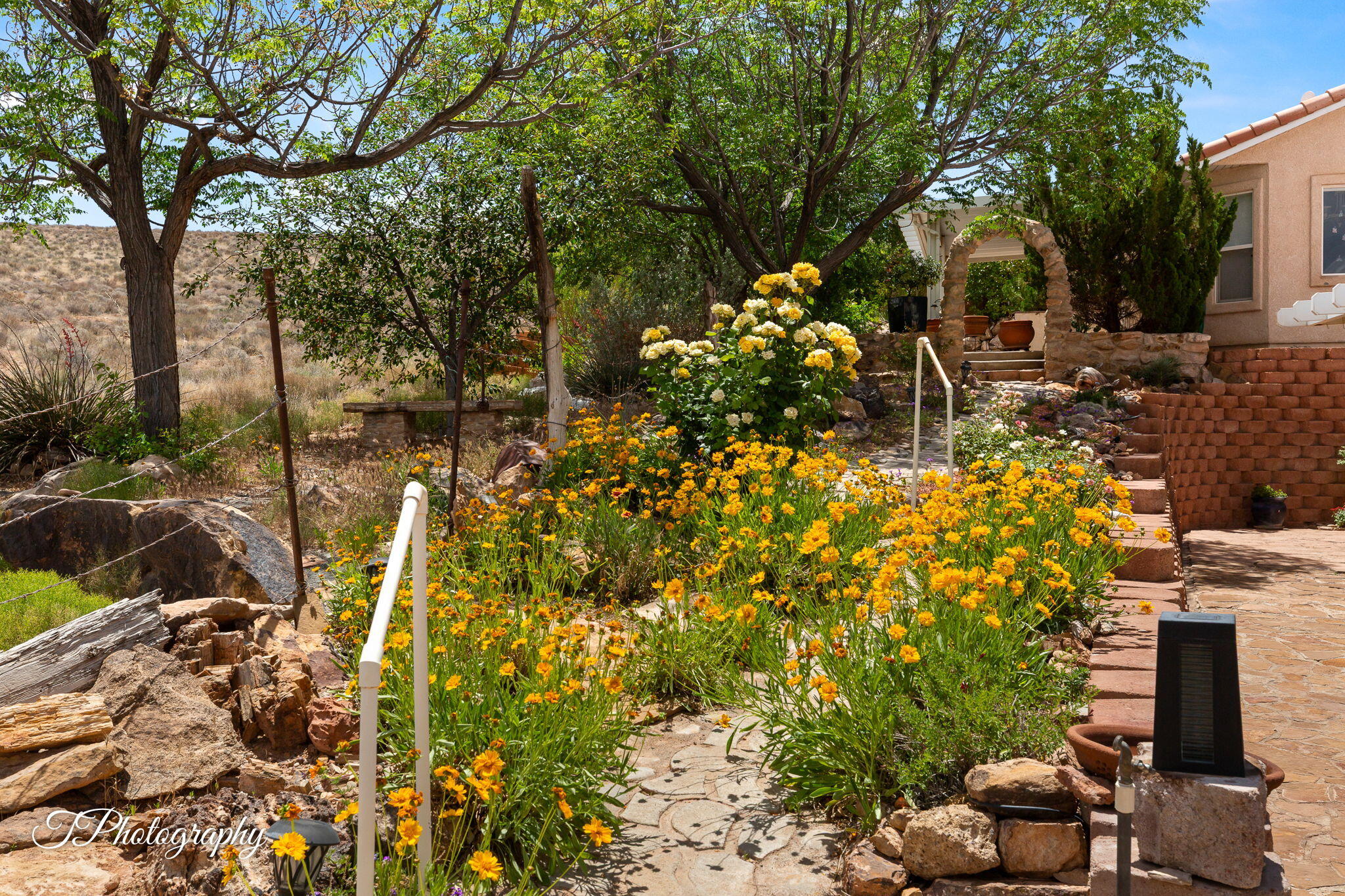 RIDGEPOINTE - Residential