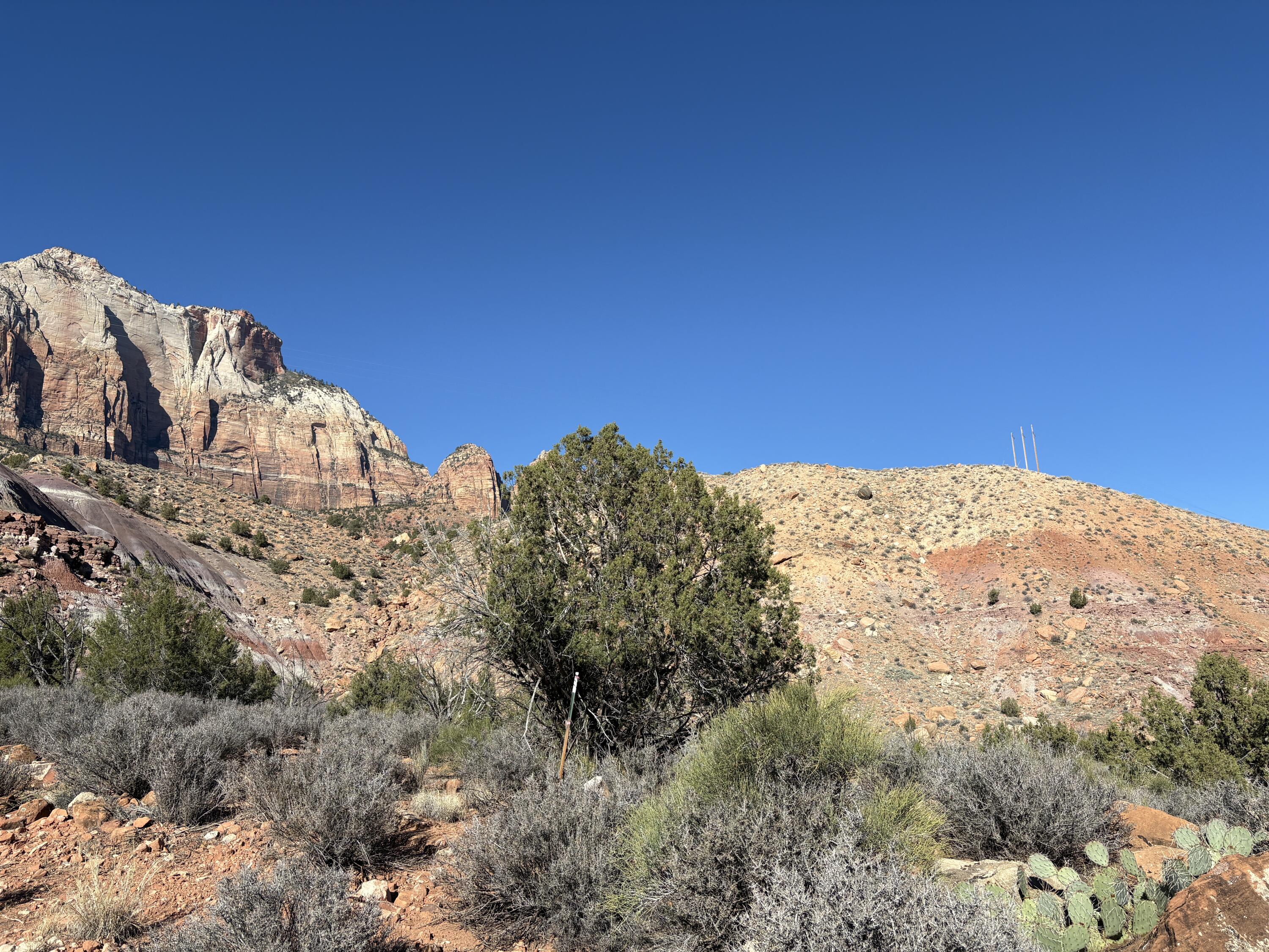 GIFFORD PARK TOWNHOMES - Land