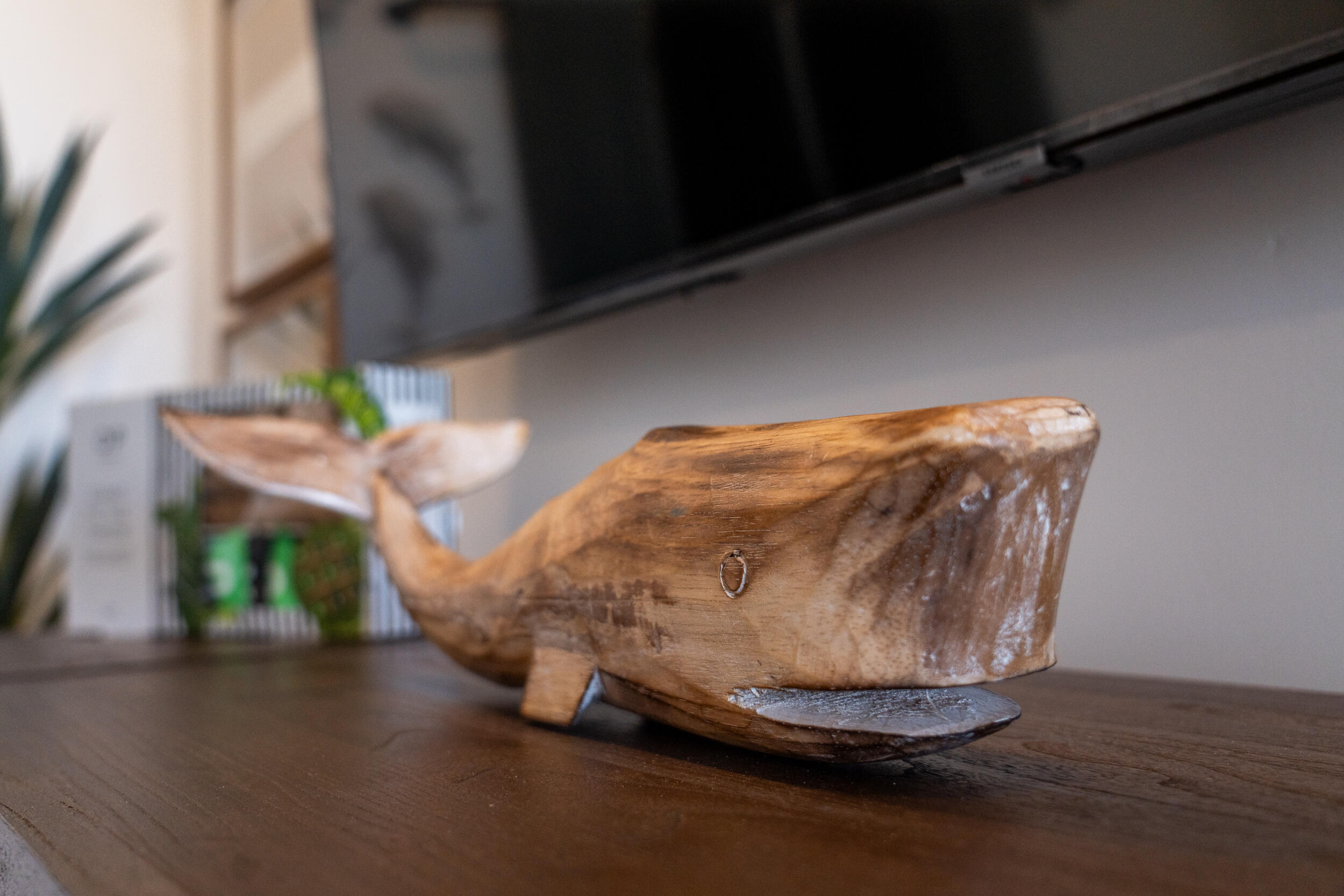 DESERT COLOR RESORT - Residential