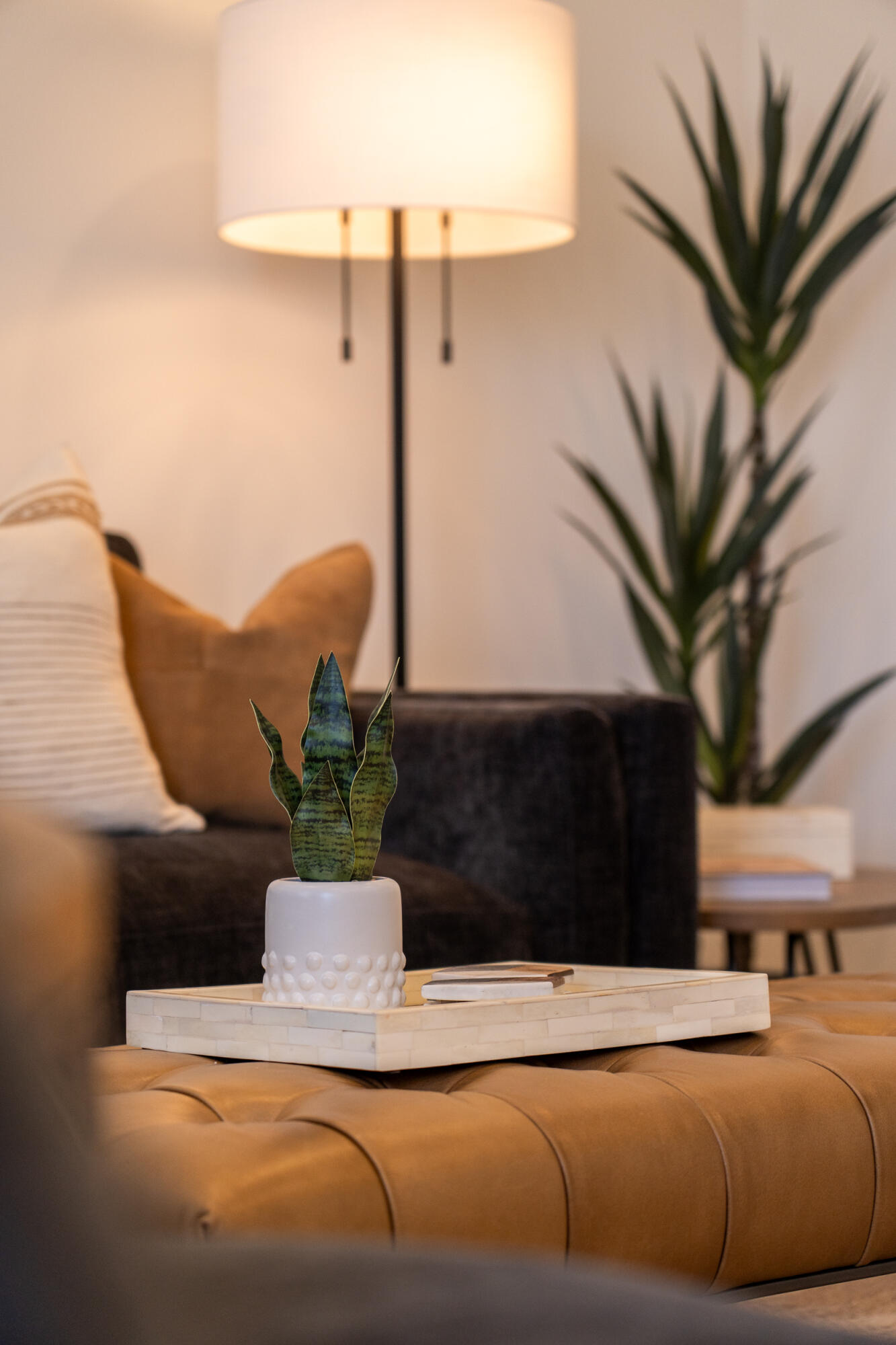 DESERT COLOR RESORT - Residential