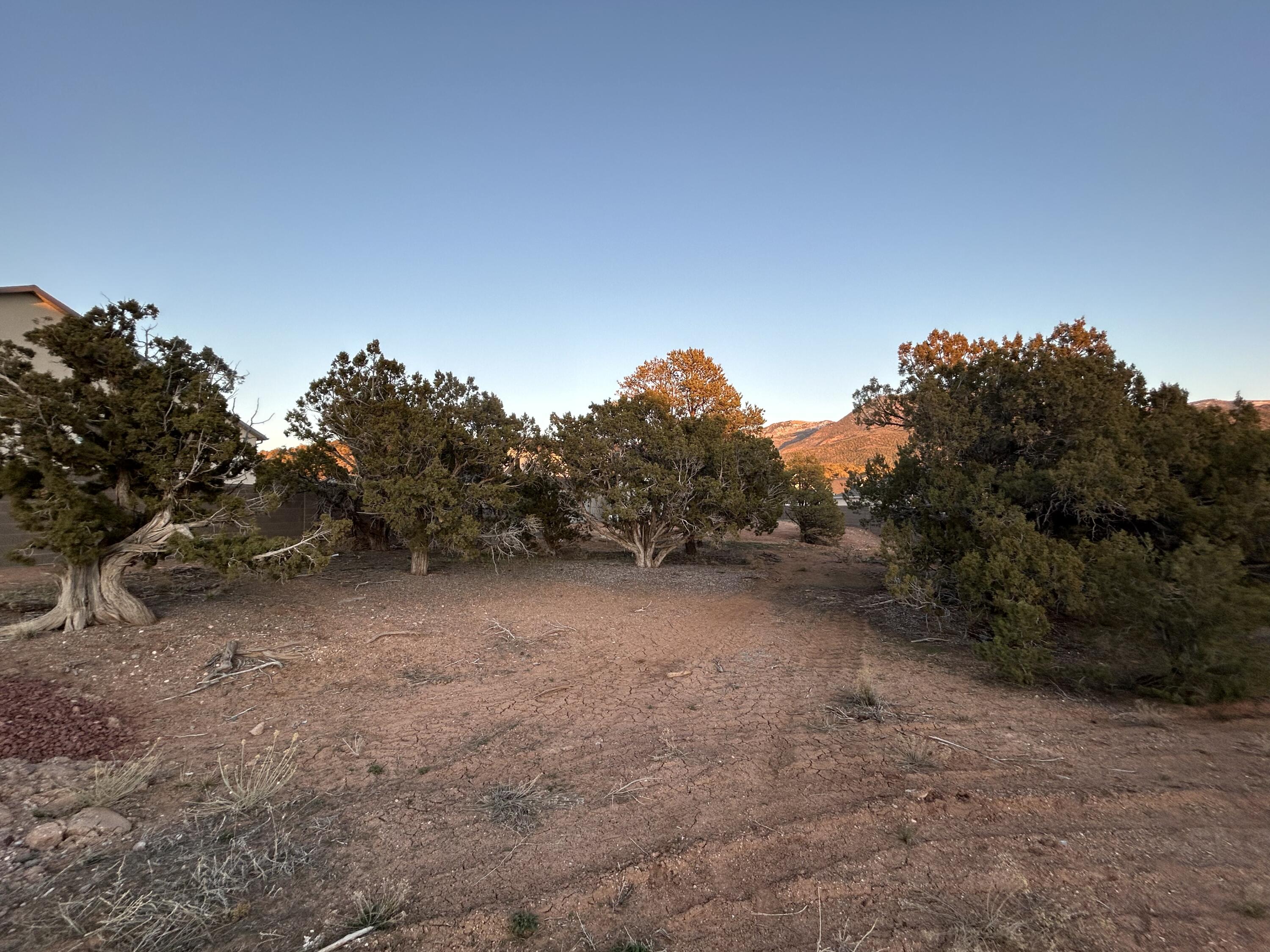 SADDLE BACK RIDGE - Land