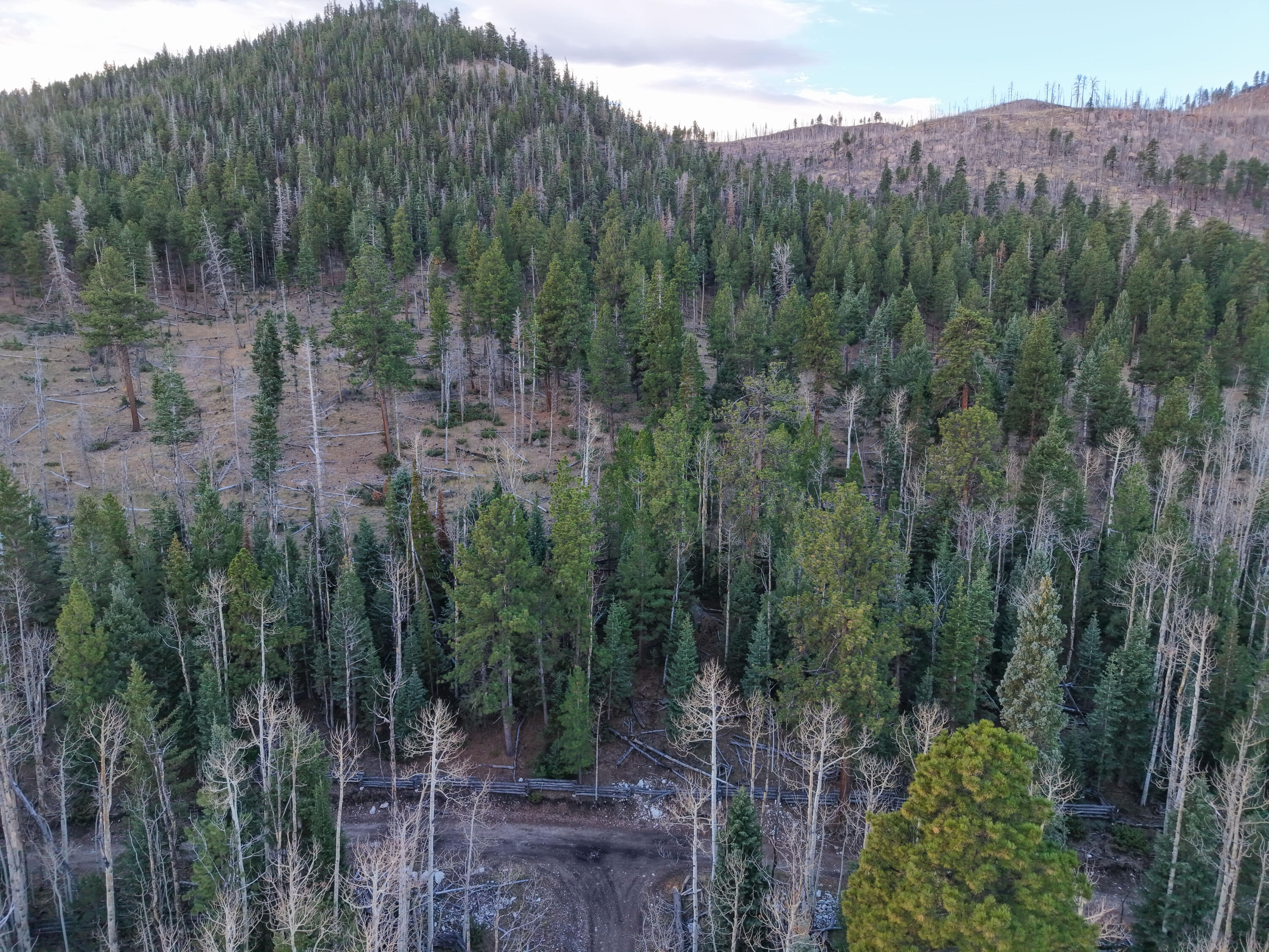 CLEAR CREEK RANCH ESTATES - Land