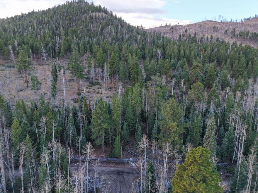 These Clear Creek Estates lots stand out from the rest of the subdivision with something truly rare: direct access to Dixie National Forest right behind the property line. Only a handful of lots in this area back up to thousands of acres of public land, and these are among them. They are also build-ready, with power available and water supplied through a seller-operated, state-approved water company known locally for its clean, refreshing mountain quality and taste. And while nearby areas like Duck Creek have become busier and more expensive, this quieter pocket near Panguitch Lake remains more affordable and less discovered.
A nearby stream and sweeping high-country views create an ideal setting for your cabin, getaway, or long-term mountain investment. Enjoy cool summer temperatures, crisp mountain air, and endless outdoor recreationfishing, boating, hiking, ATV riding, dirt biking, horseback trails, winter fun at Brian Head Resort, and the stunning wonders of Cedar Breaks, Bryce Canyon, Zion National Park, Escalante, and the popular Duck Creek Village area. "Panguitch" comes from the Paiute word for "big fish," and the region lives up to its name with excellent trout fishing and year-round adventure.
Whether you're dreaming of a cozy cabin or a peaceful retreat away from city life and desert heat, this location delivers. Nearly year-round access, natural surroundings, and proximity to some of Southern Utah's most iconic landscapes make these lots a standout opportunity.
Seller is willing to build to suit, or you may bring your own builder. Seller financing available.