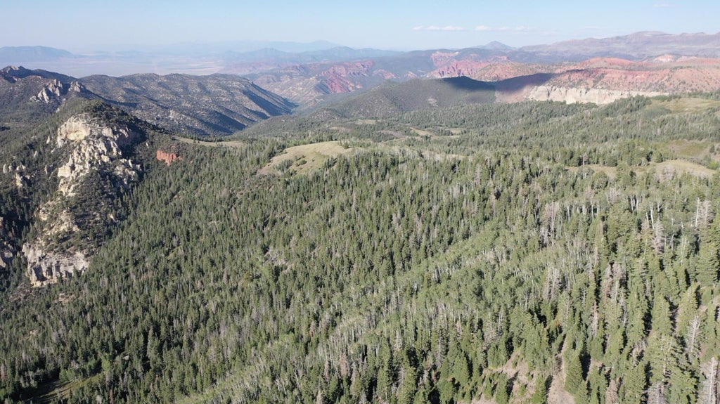 Photo of 20 Acres W West of Dry Lakes RD, Brian Head, UT 84719 (MLS # 26-273395)
