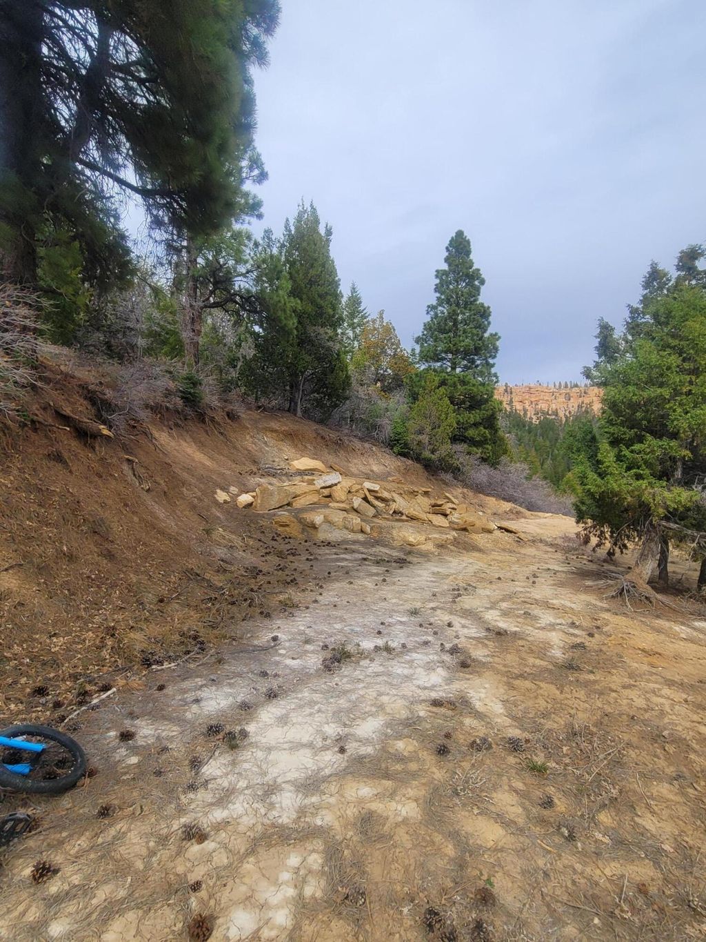 Photo of Lot 71 W Sky Haven Mountain Retreat, Duck Creek, UT 84762 (MLS # 26-271325)