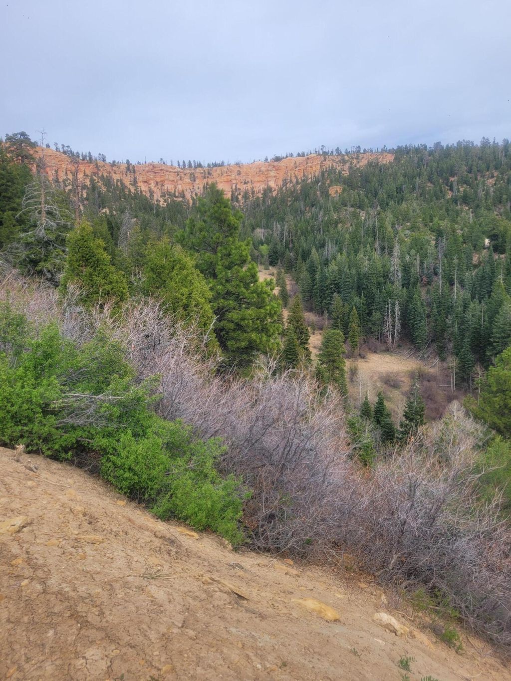 Photo of Lot 71 W Sky Haven Mountain Retreat, Duck Creek, UT 84762 (MLS # 26-271325)