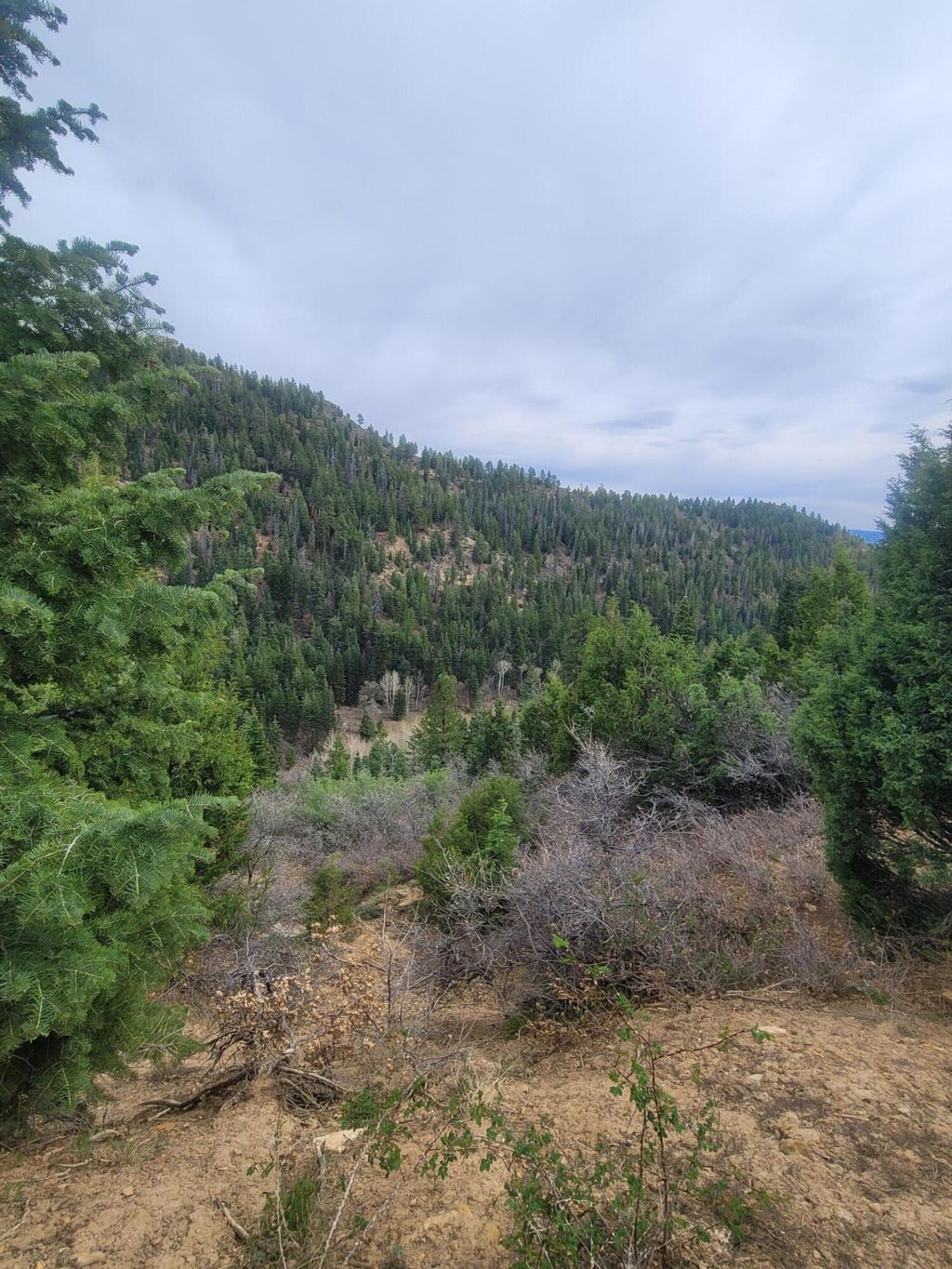 Photo of Lot 71 W Sky Haven Mountain Retreat, Duck Creek, UT 84762 (MLS # 26-271325)